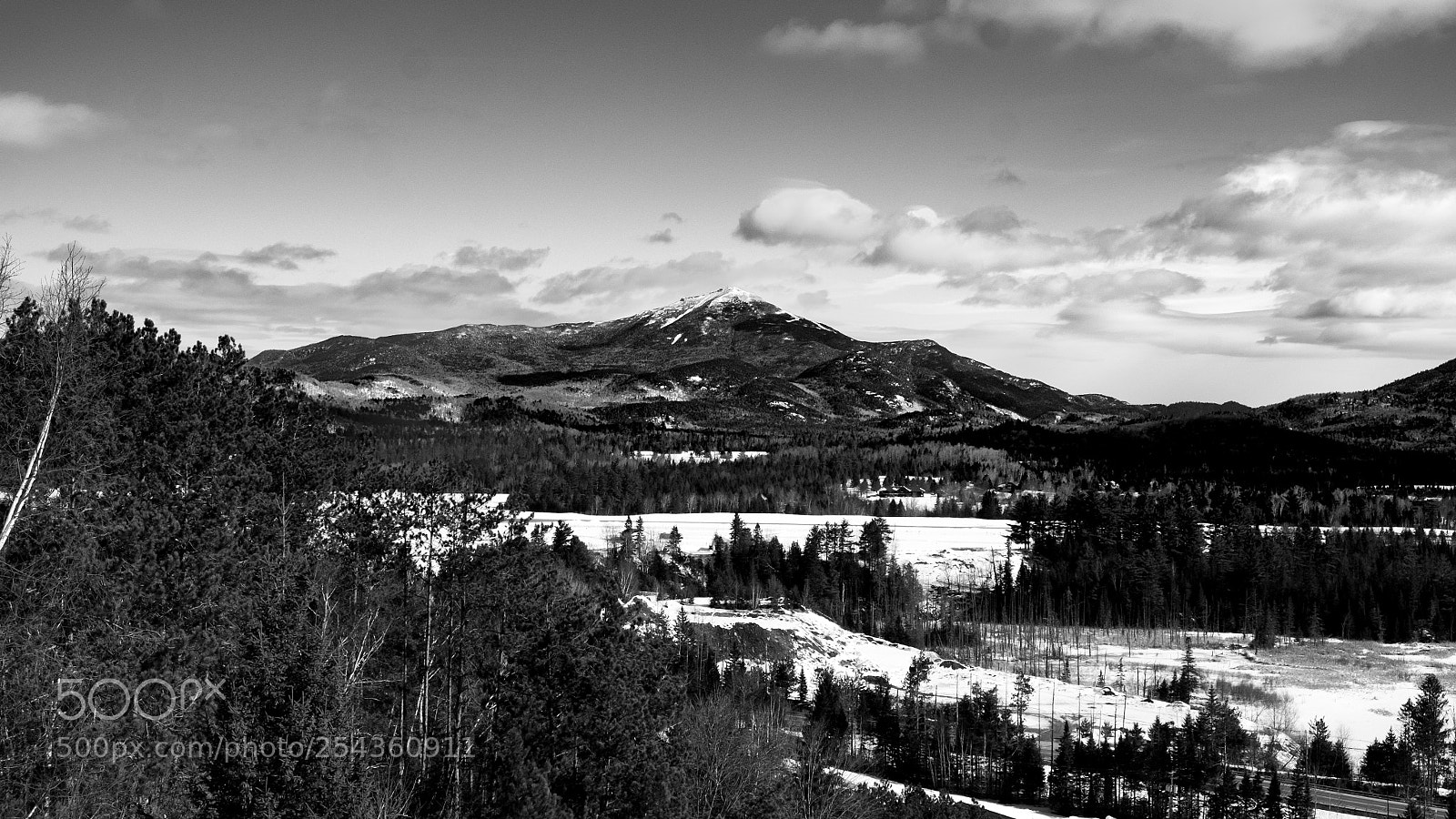 Fujifilm X-T1 sample photo. Whiteface photography