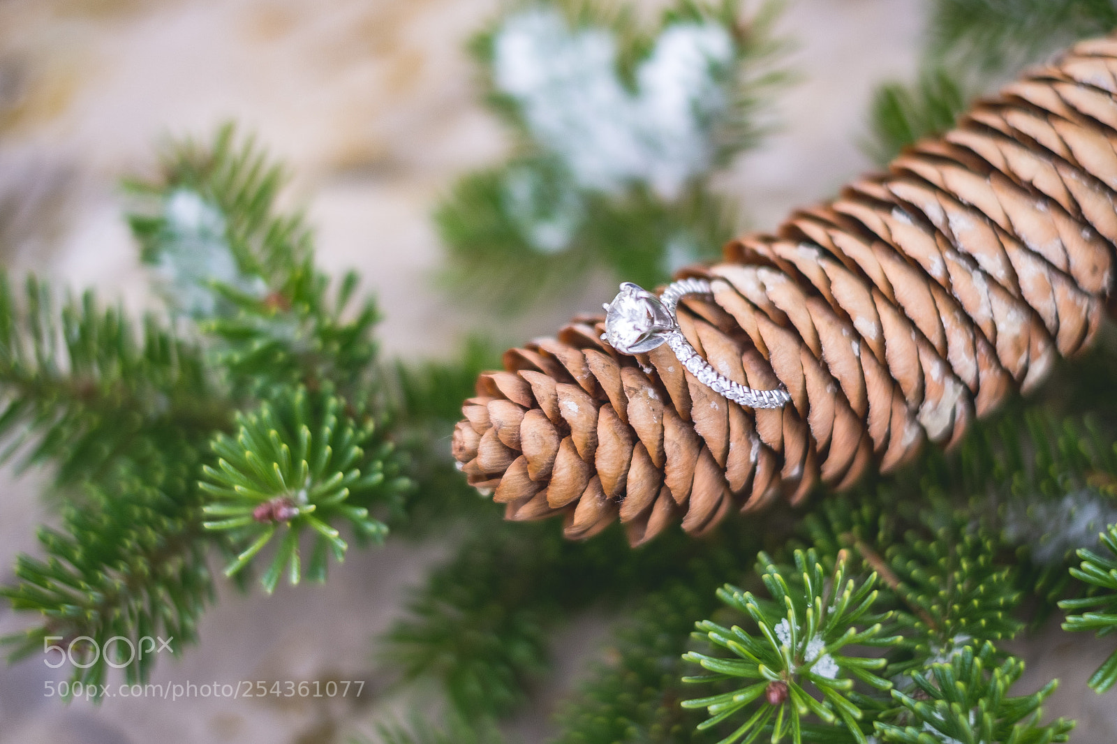 Fujifilm X-T1 sample photo. Ring one photography