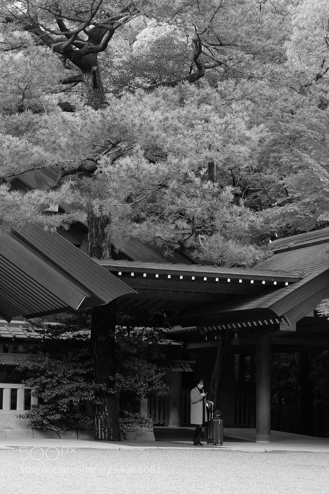 Fujifilm X-T10 sample photo. Traveling alone photography