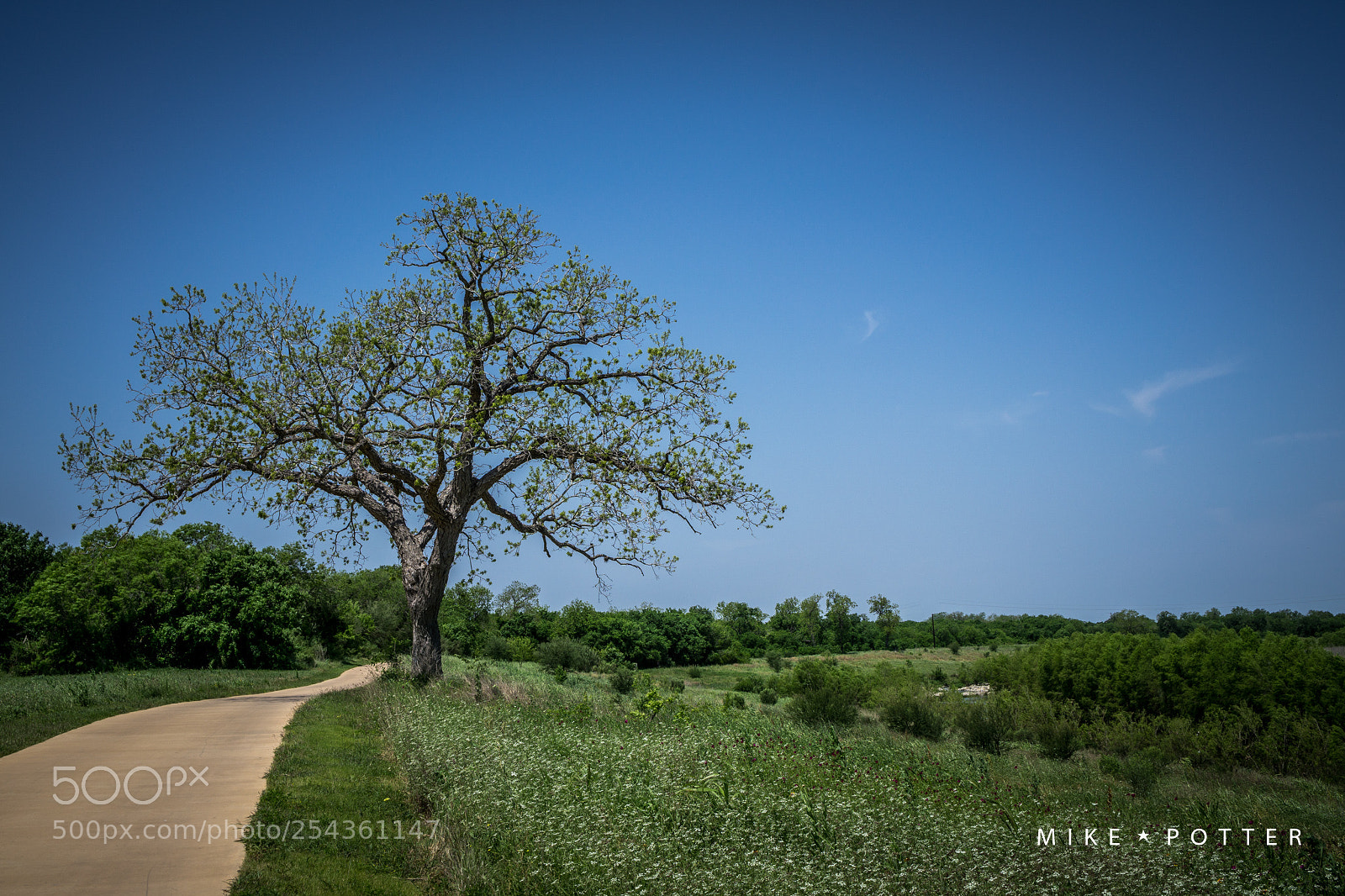 Sony a6000 sample photo. The west bank photography