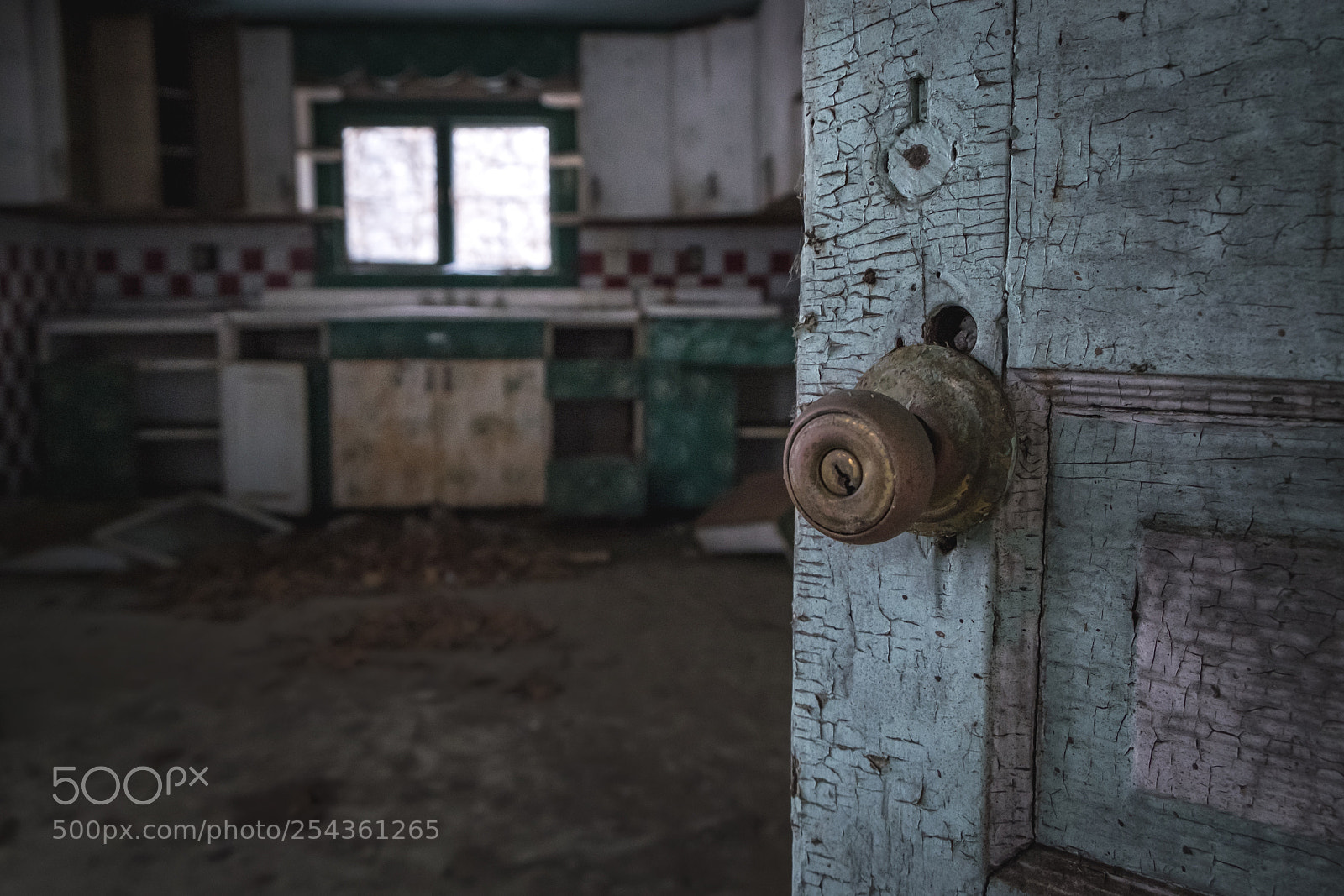 Fujifilm X-T1 sample photo. Knob photography