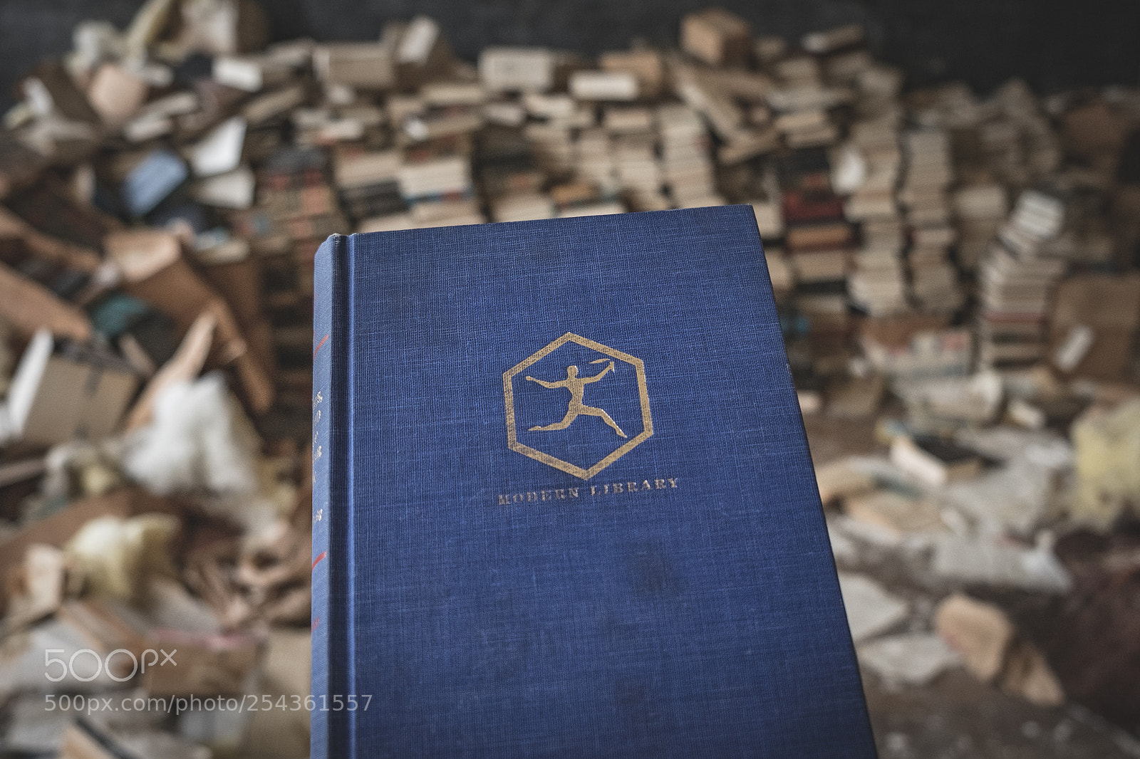 Fujifilm X-T1 sample photo. Read it photography