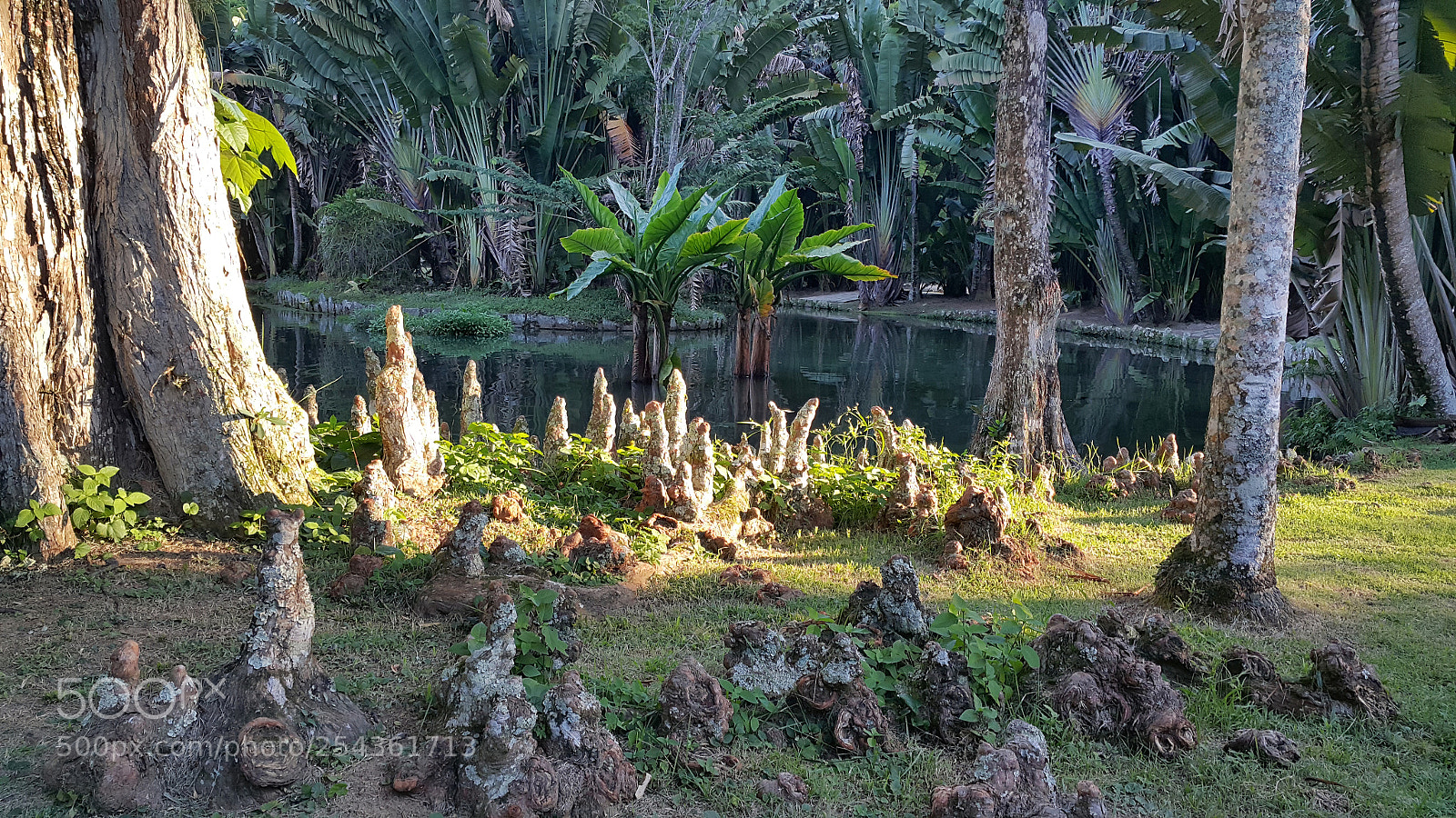 Samsung Galaxy Note4 sample photo. Botanic  garden photography