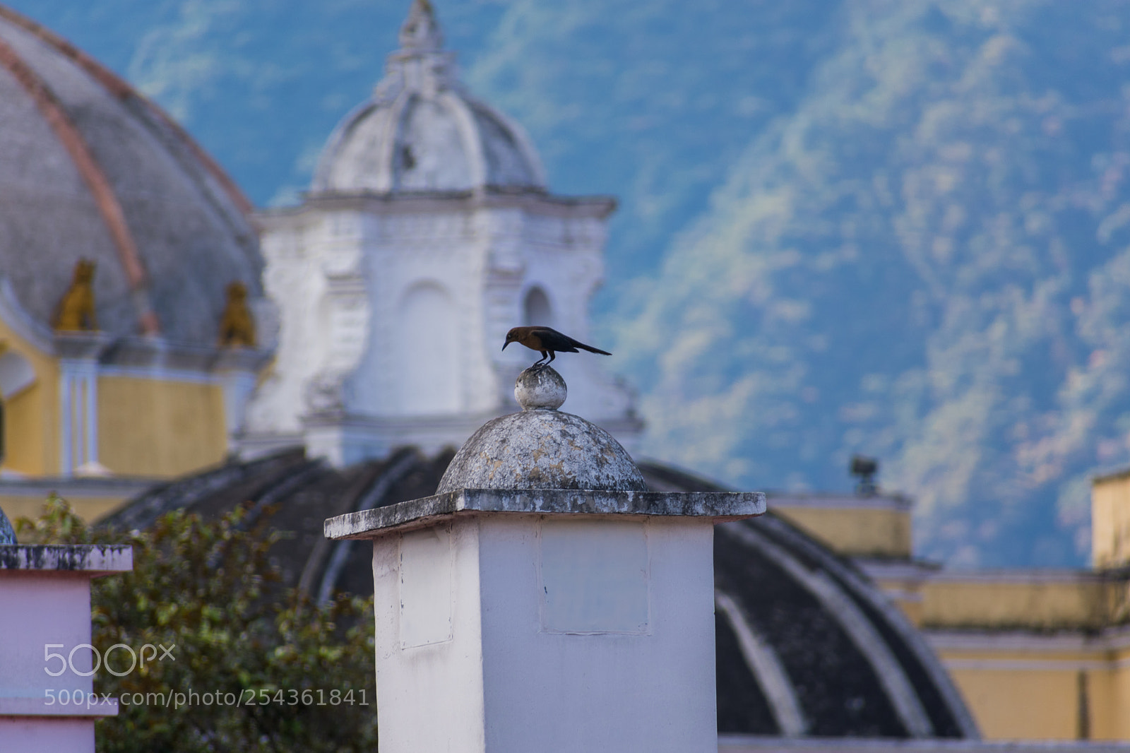 Nikon D3400 sample photo. Bird photography