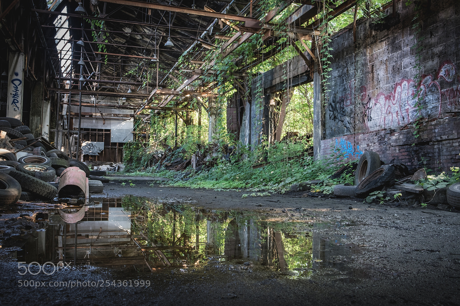 Fujifilm X-T1 sample photo. Overgrowth photography