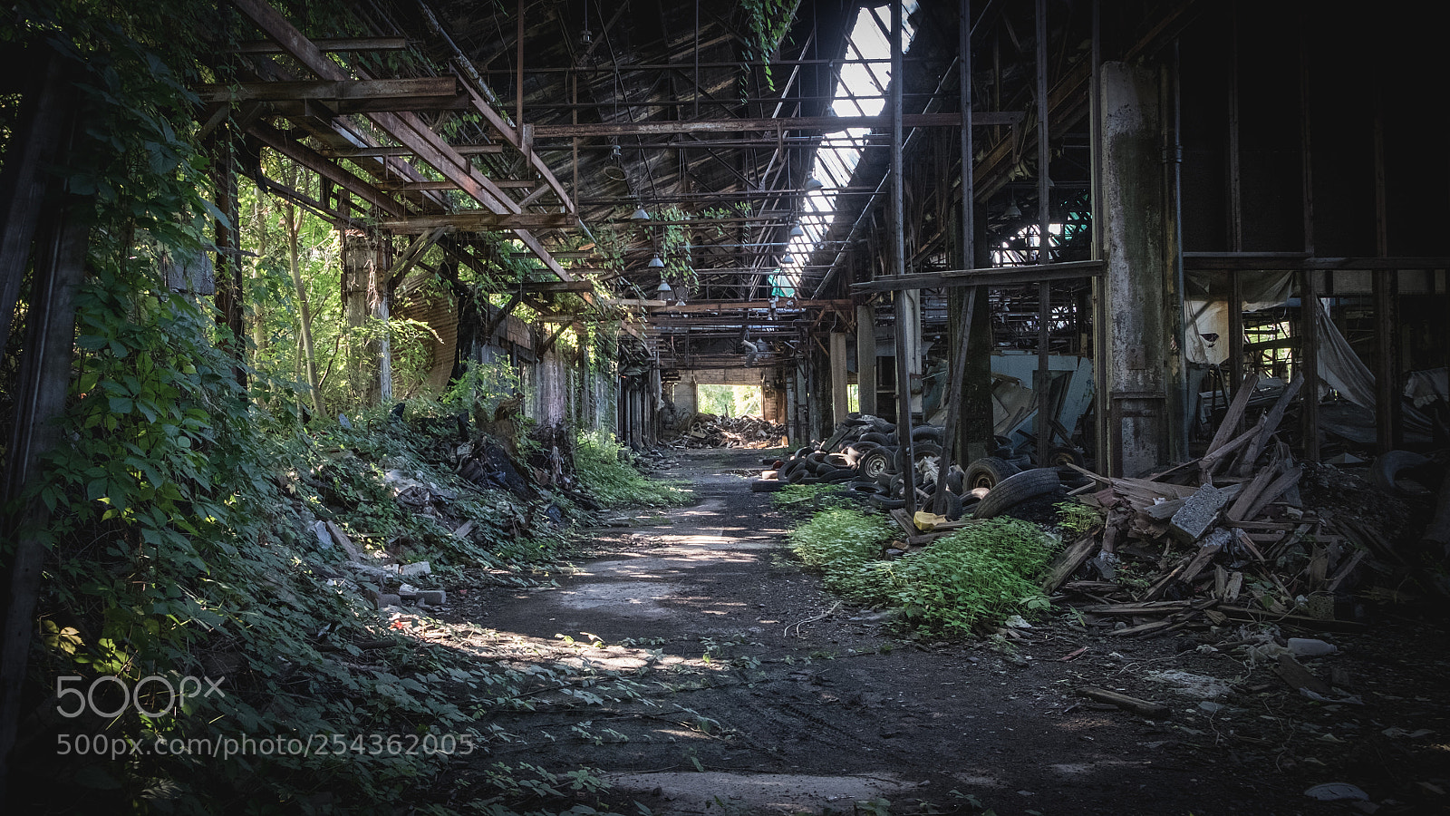 Fujifilm X-T1 sample photo. Tunnel plant photography