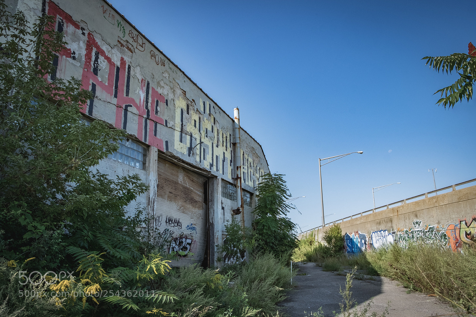 Fujifilm X-T1 sample photo. For sale photography