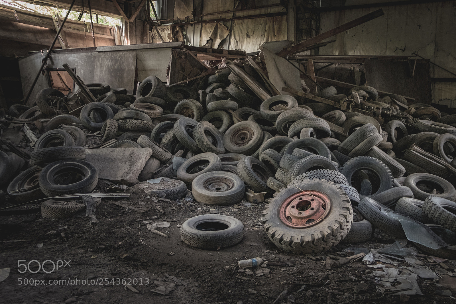 Fujifilm X-T1 sample photo. The lonely one photography