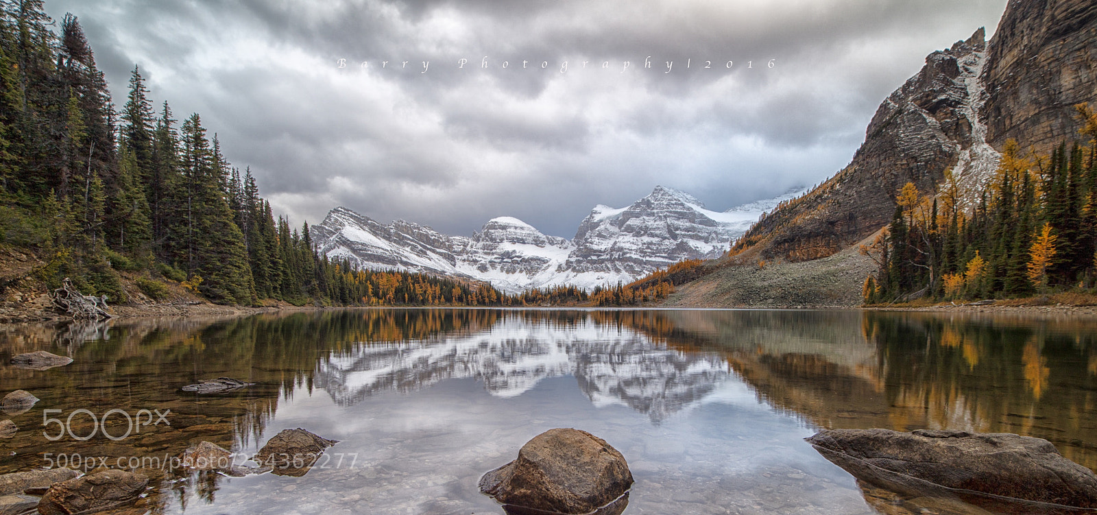 Canon EOS 5DS R sample photo. Assiniboine photography