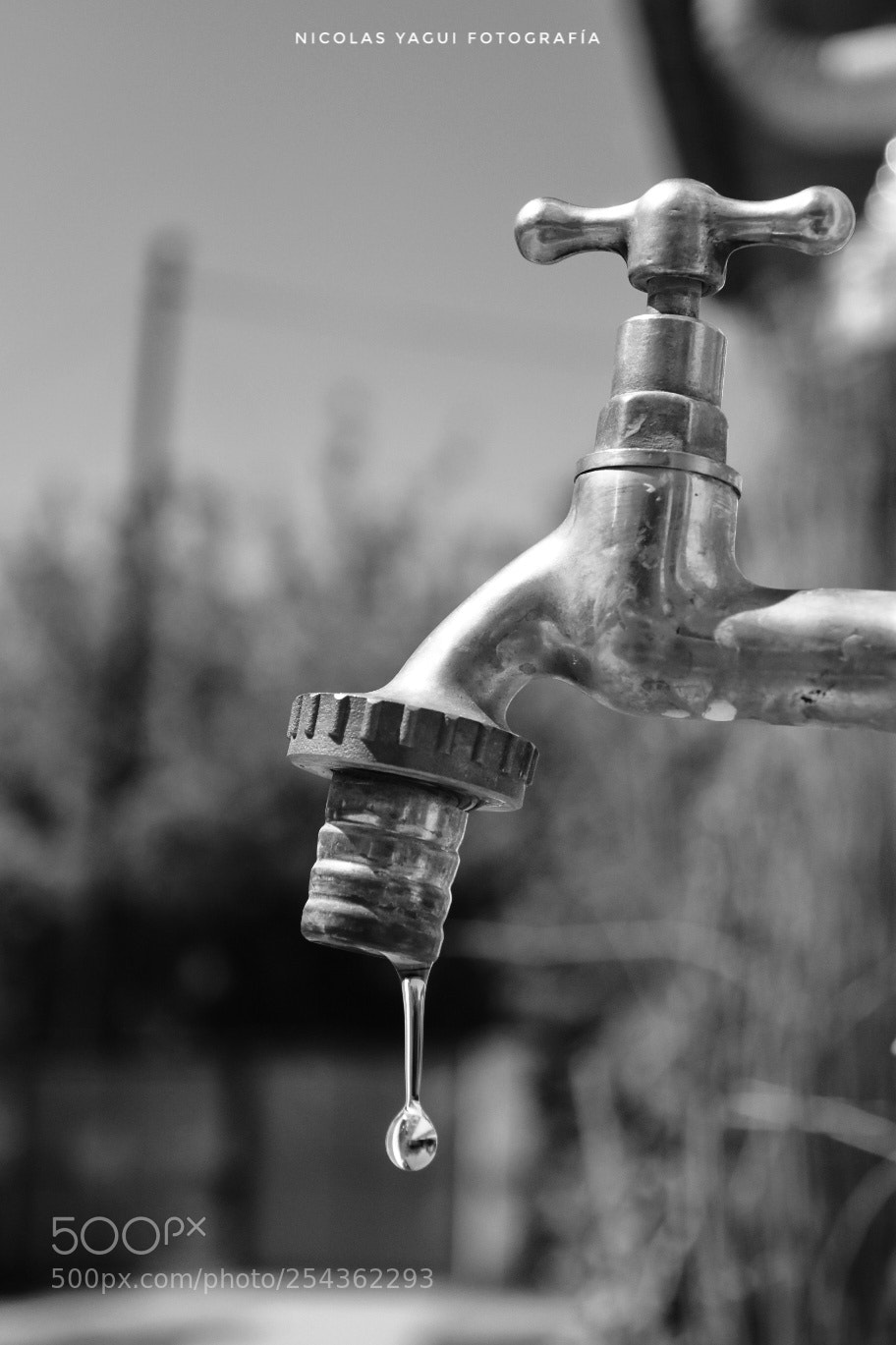 Nikon D7200 sample photo. Drop photography