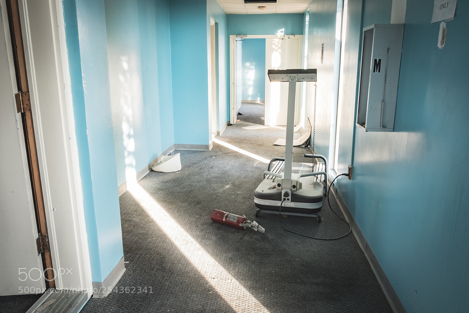 Fujifilm X-T1 sample photo. Tred photography