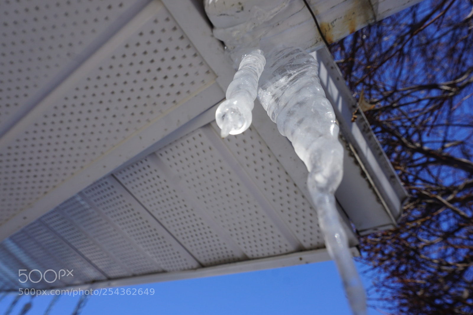 Sony a6000 sample photo. Dsc photography