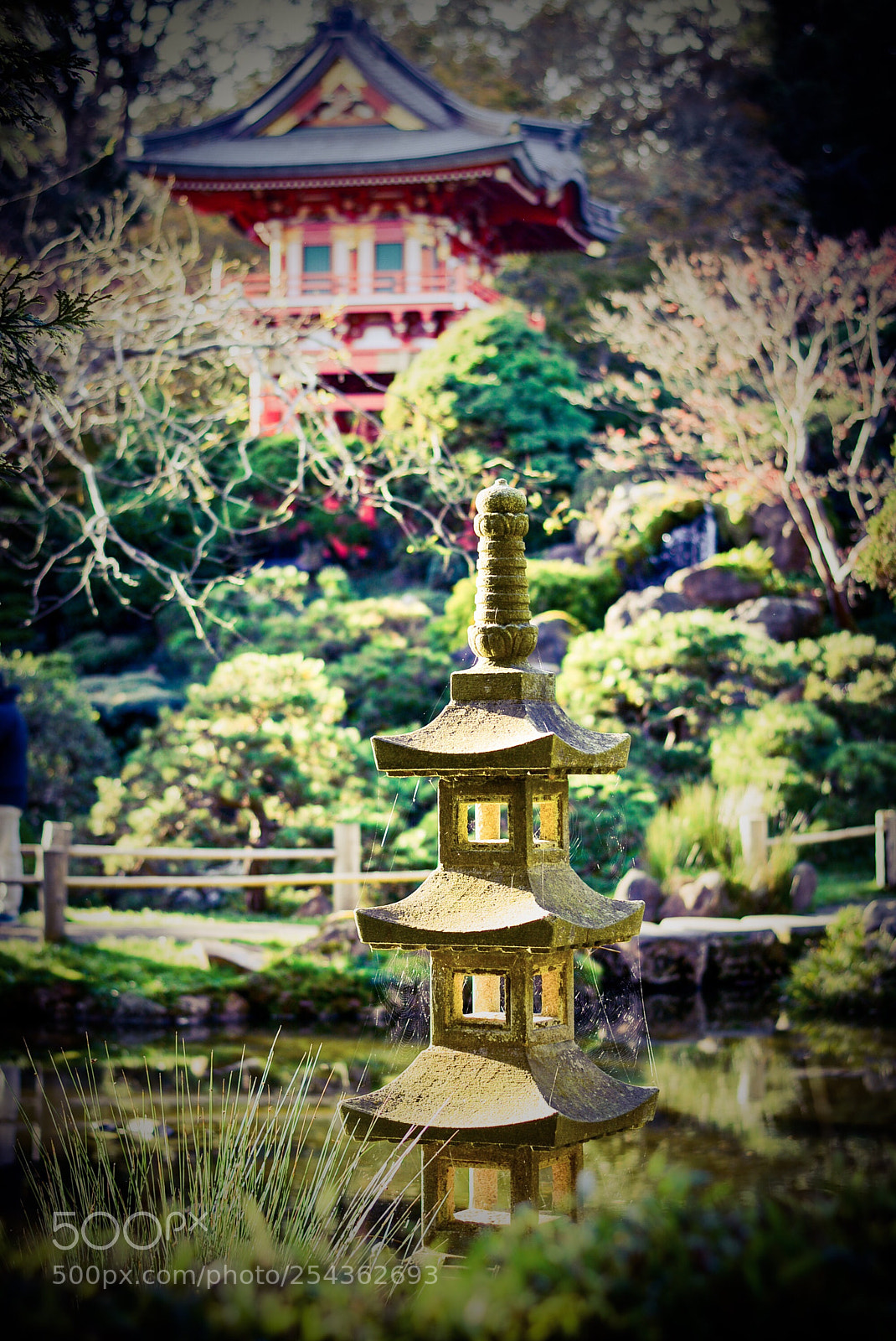 Nikon D7100 sample photo. Small vs big! photography