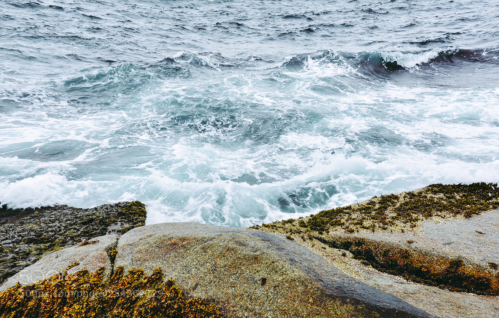 Nikon D7100 sample photo. 岸边 photography