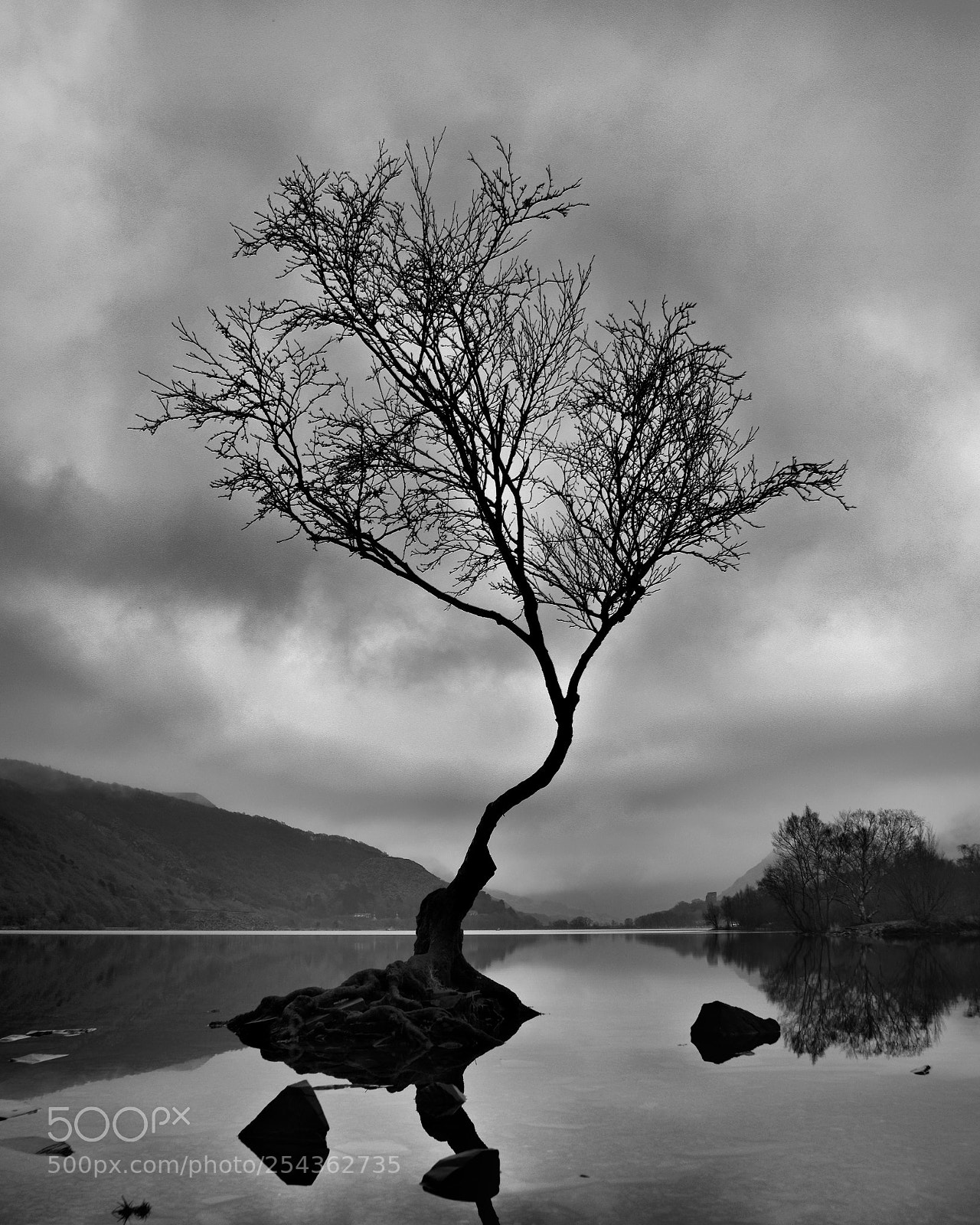 Nikon D5300 sample photo. Lone tree photography