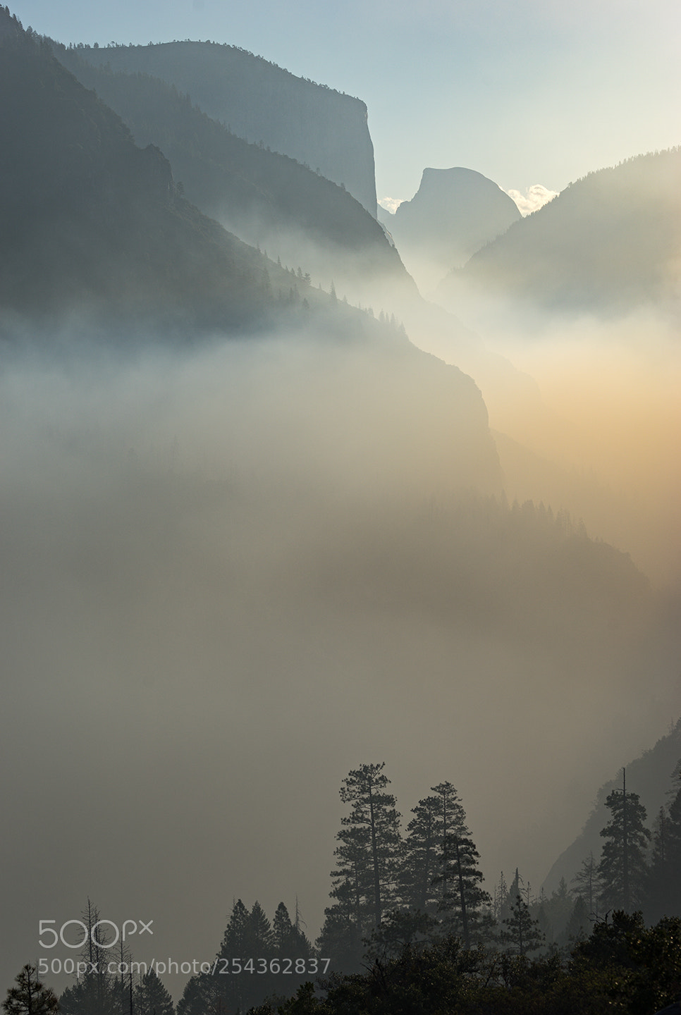 Sony a7 II sample photo. Morning light on yosemite photography
