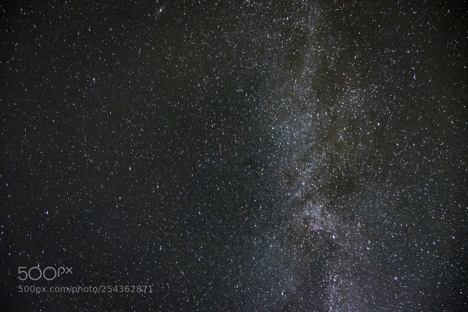 Fujifilm X-T1 sample photo. Milky photography
