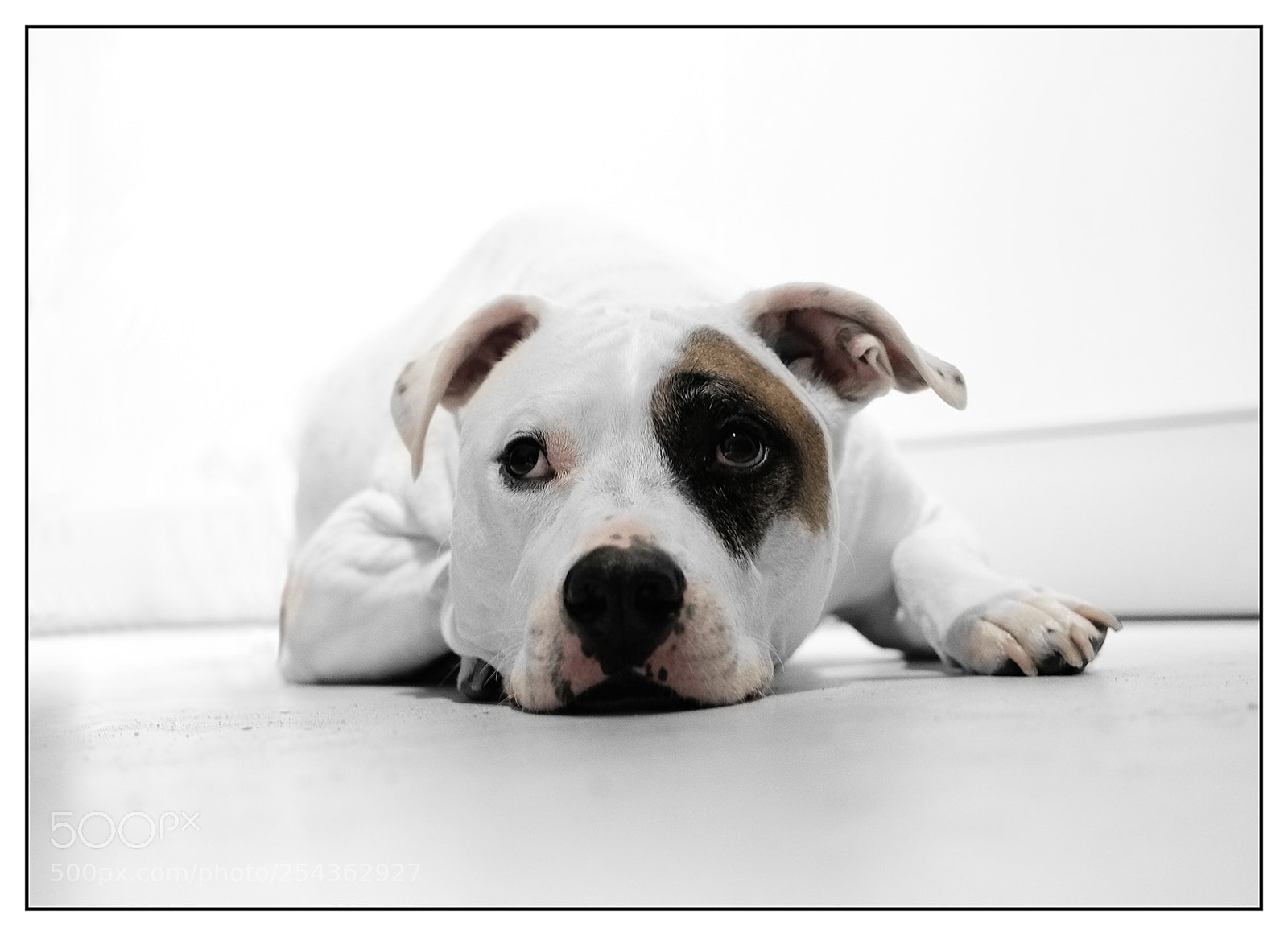 Fujifilm X-T2 sample photo. Rover photography