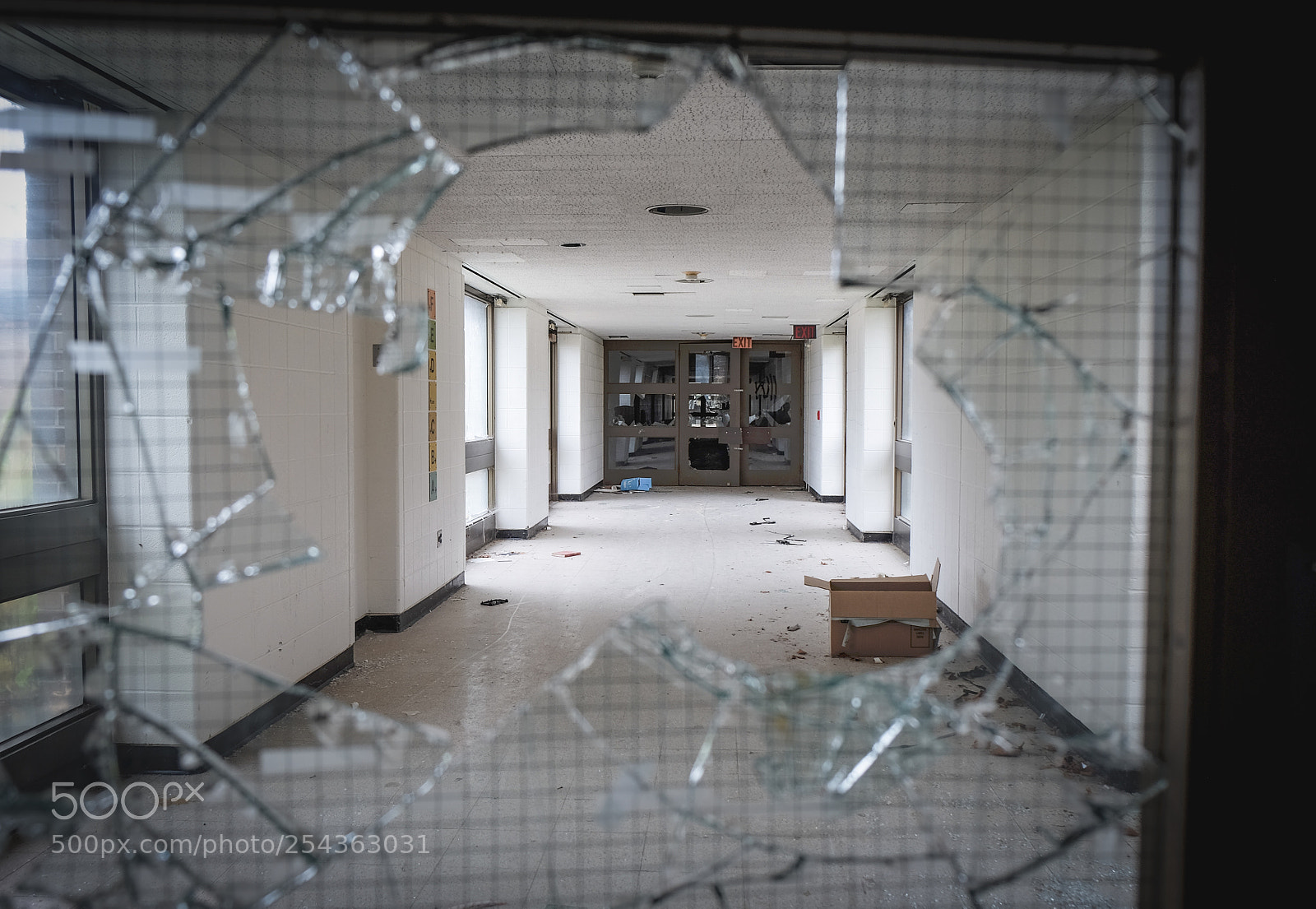 Fujifilm X-T1 sample photo. Cant reach photography