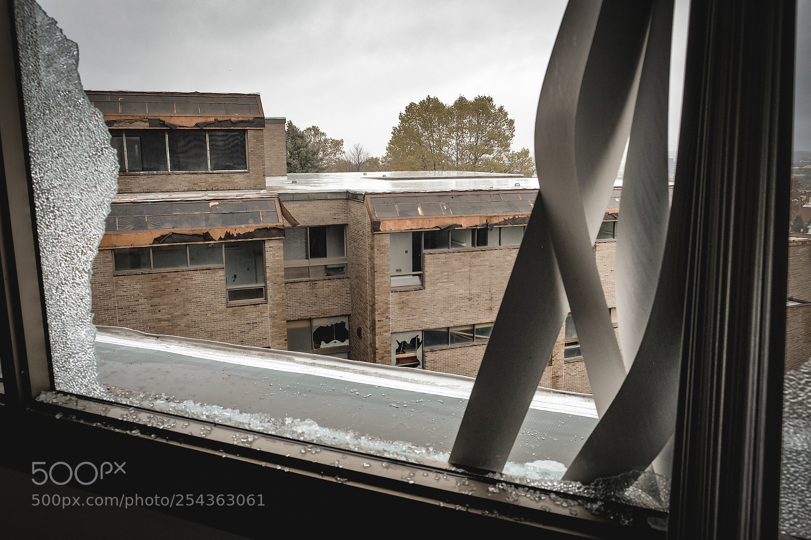 Fujifilm X-T1 sample photo. Copper strip photography