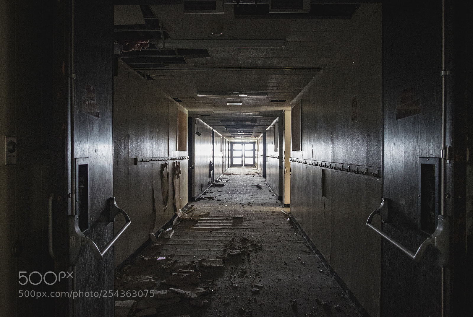 Fujifilm X-T1 sample photo. I hear something photography