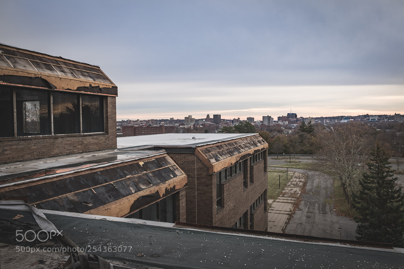Fujifilm X-T1 sample photo. Stripped photography