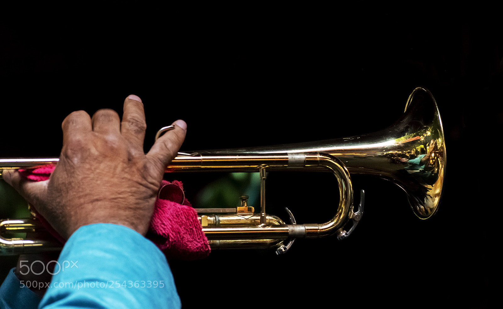 Nikon D5500 sample photo. Trumpet photography