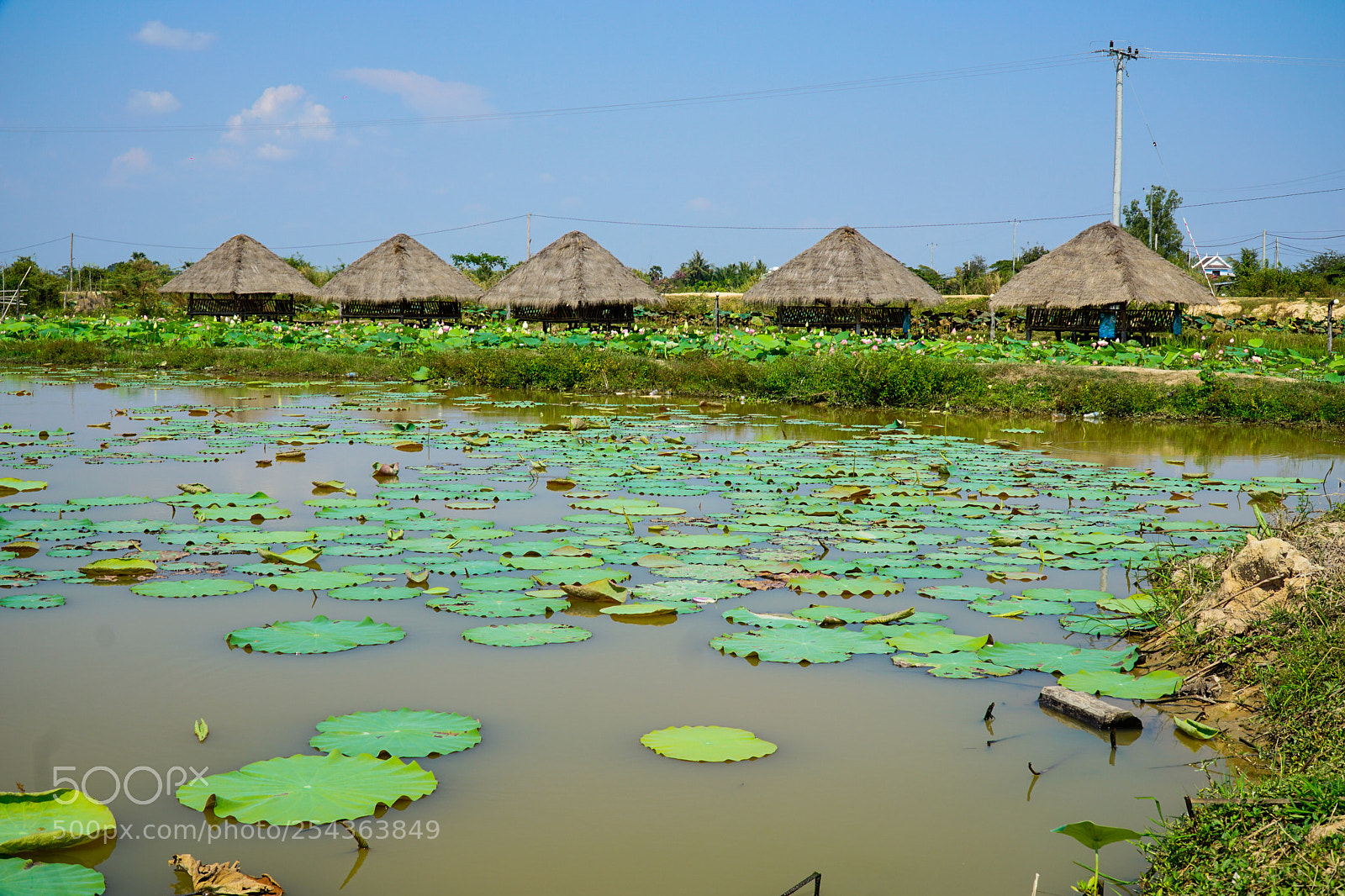 Sony a6000 sample photo. Lotus village photography