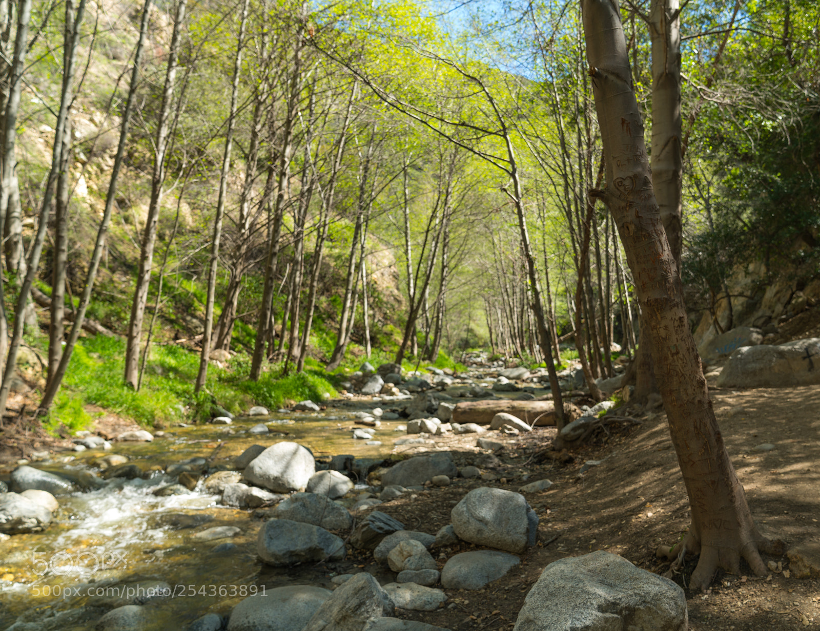 Sony a7R III sample photo. Eaton canyon trail photography