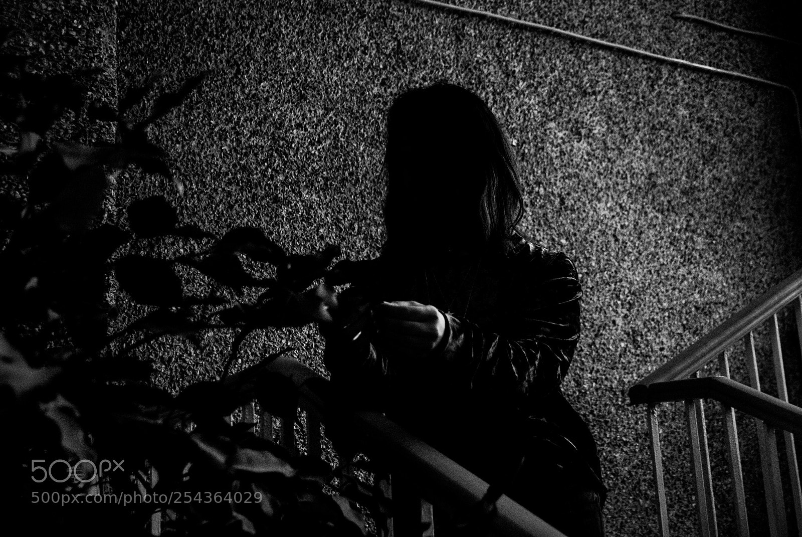 Nikon D3000 sample photo. Transition photography