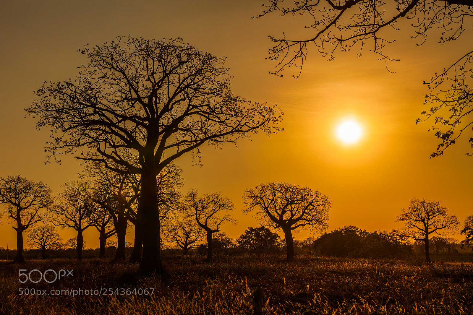 Canon EOS 5D Mark II sample photo. Liviano abrigo en brazos photography