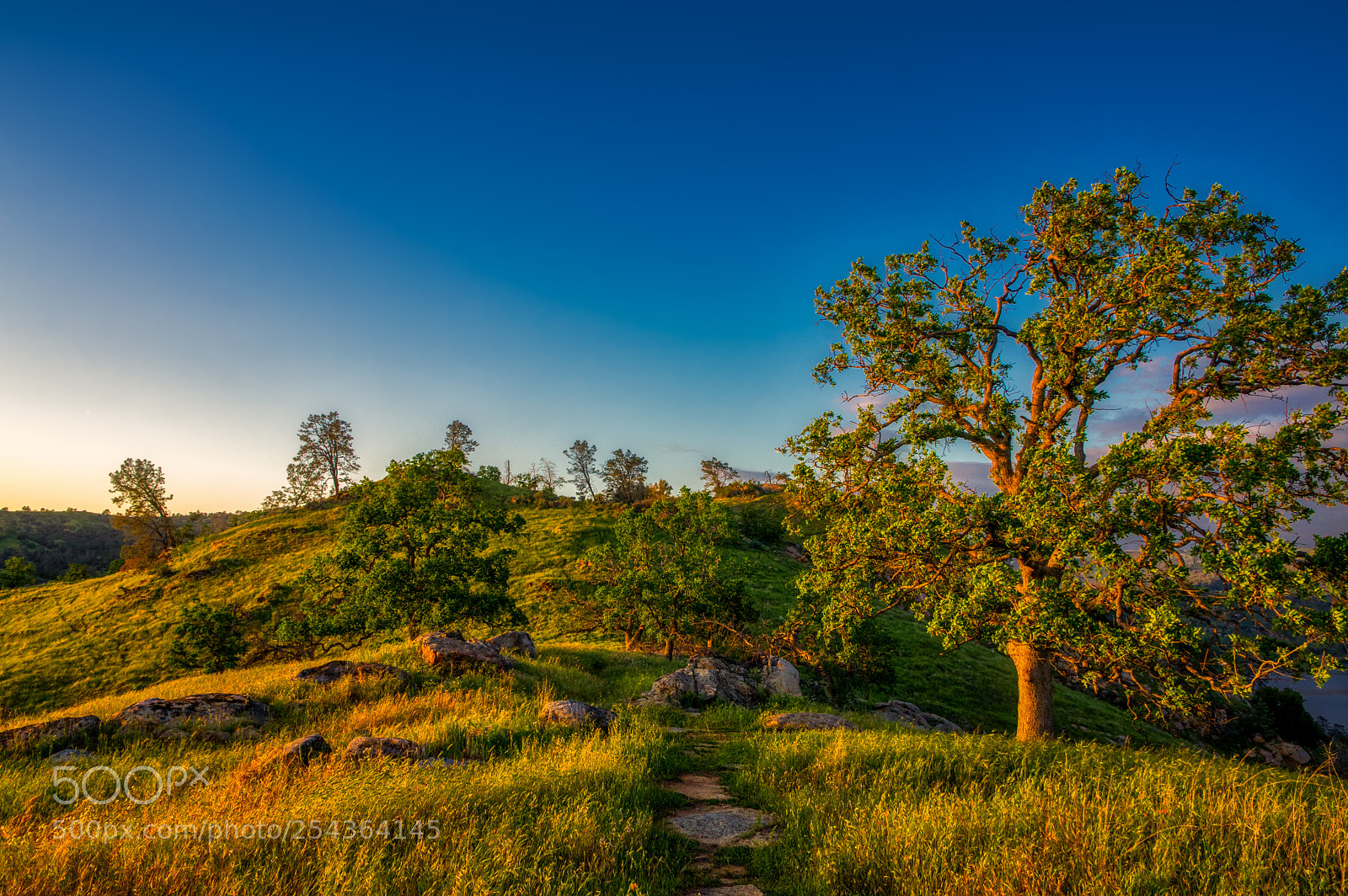 Pentax K-3 II sample photo. Millerton lake sunset photography