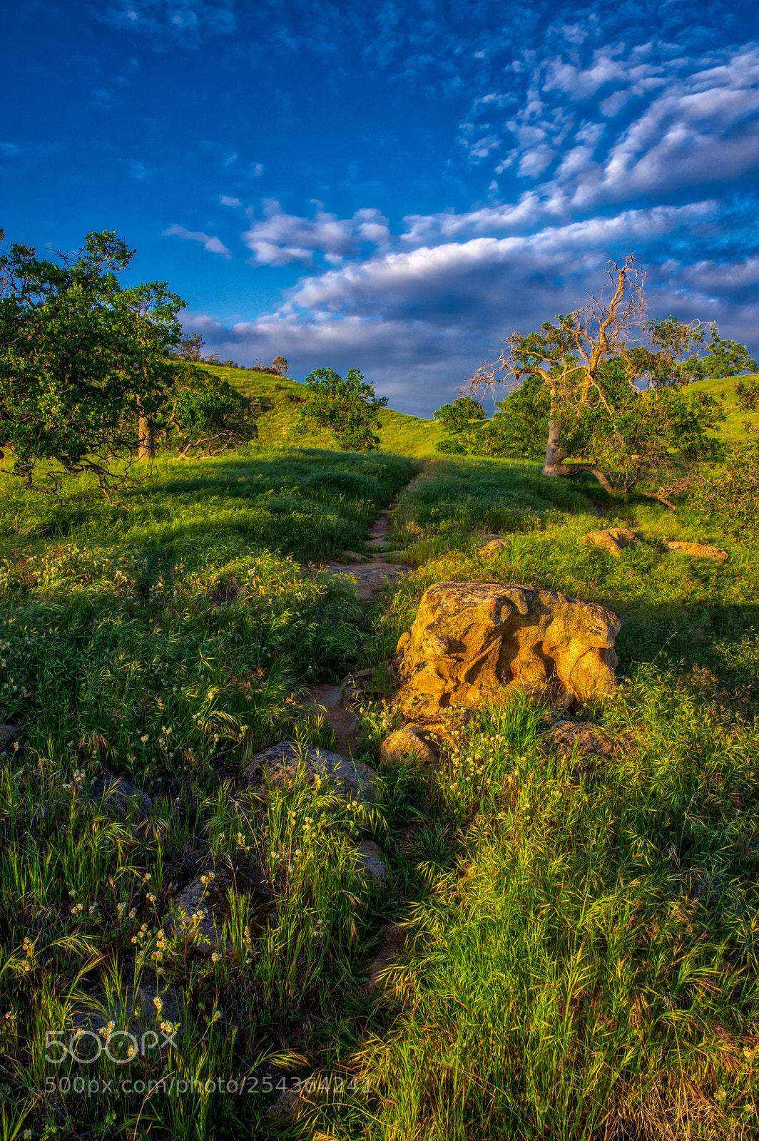 Pentax K-3 II sample photo. Millerton lake sunset photography