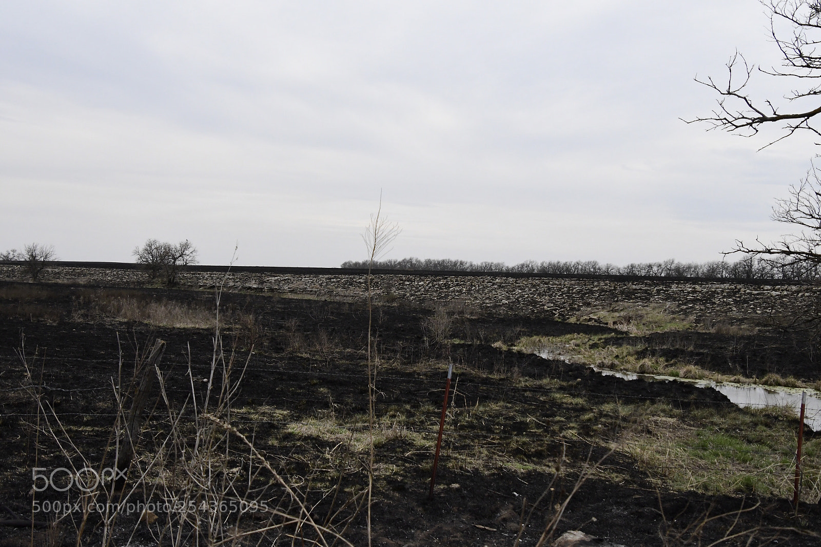 Nikon D500 sample photo. Spring burn  photography