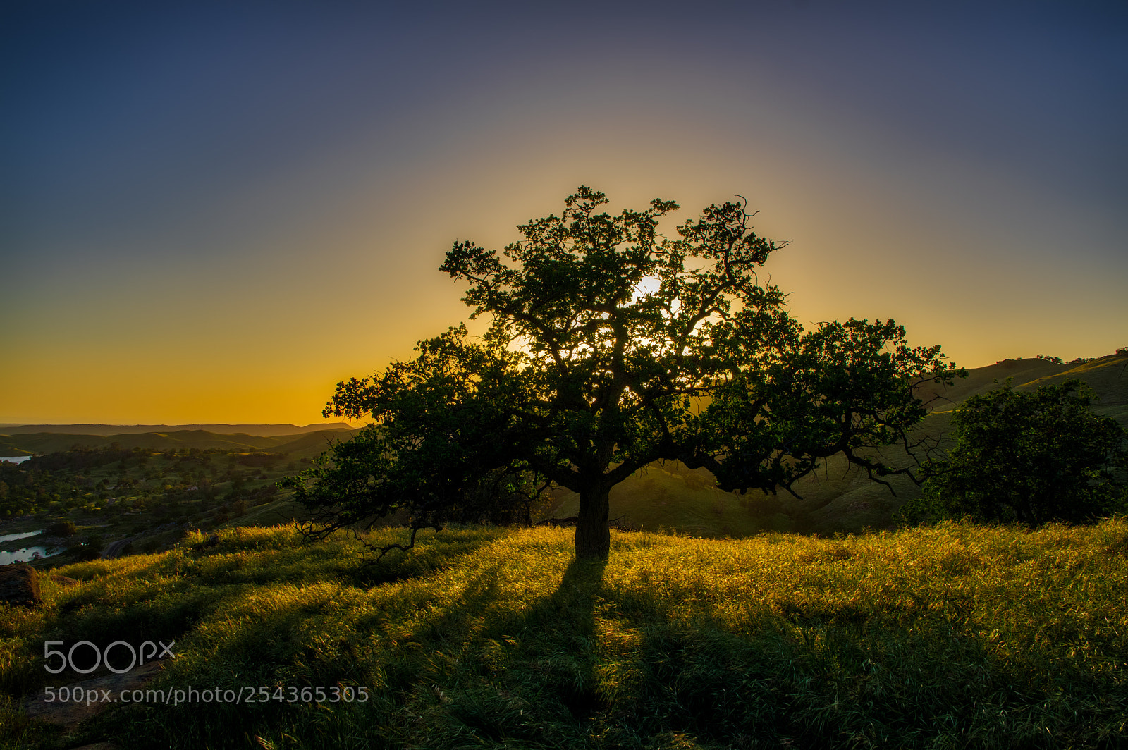 Pentax K-3 II sample photo. Millerton lake sunset photography