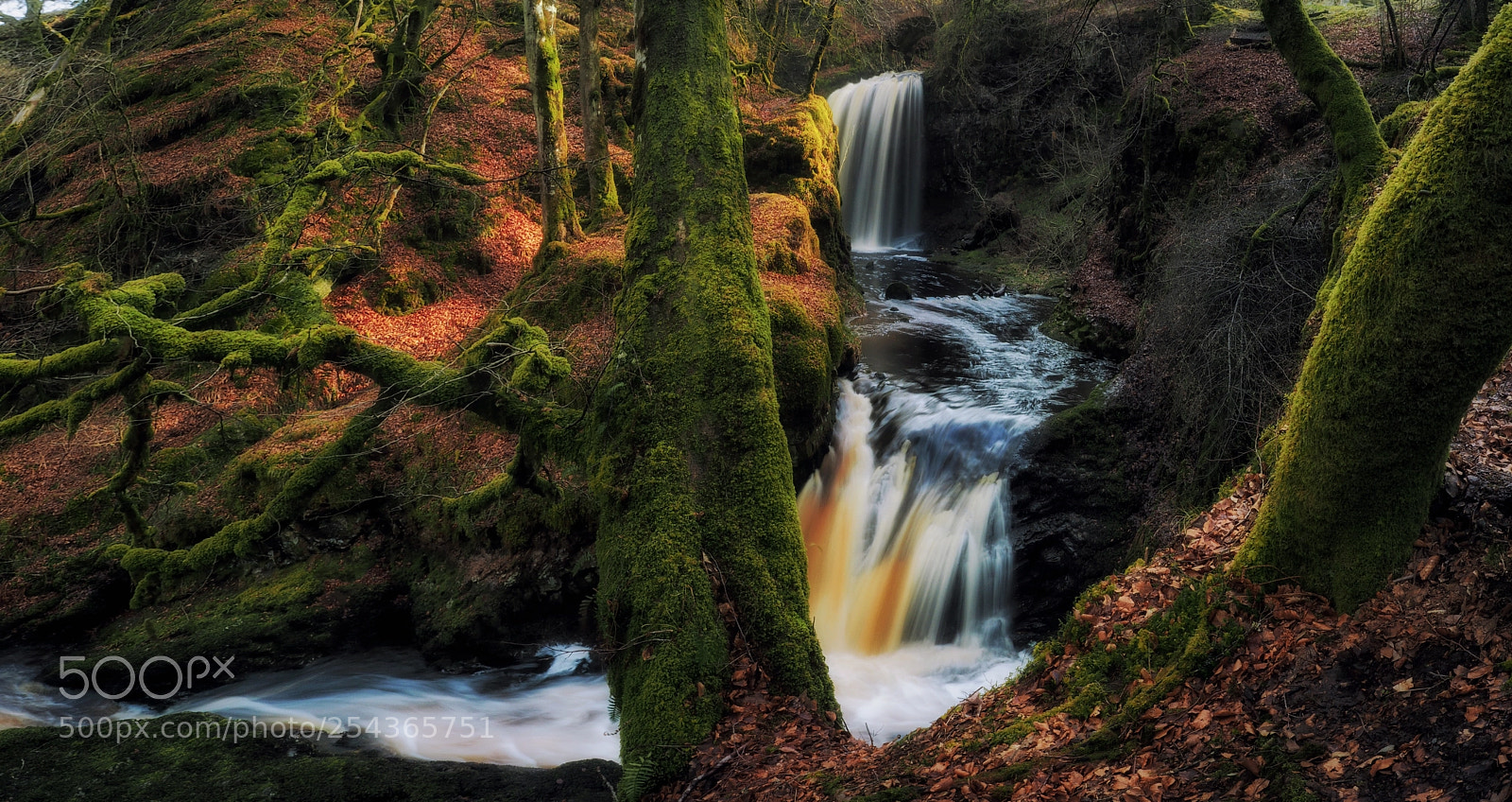 Olympus OM-D E-M5 II sample photo. Dalcairney falls river doon photography