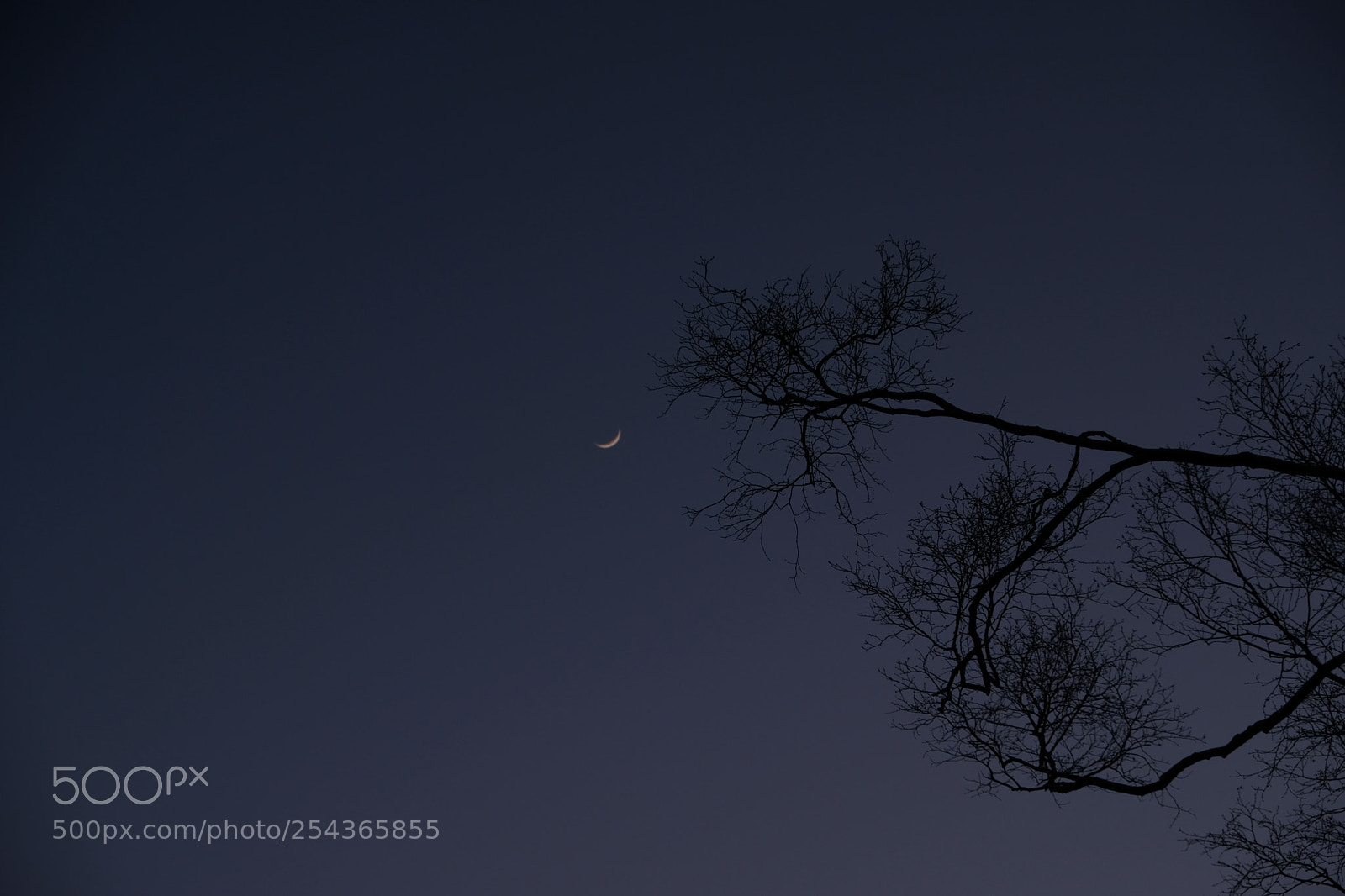Fujifilm X-E3 sample photo. Blue sunset photography