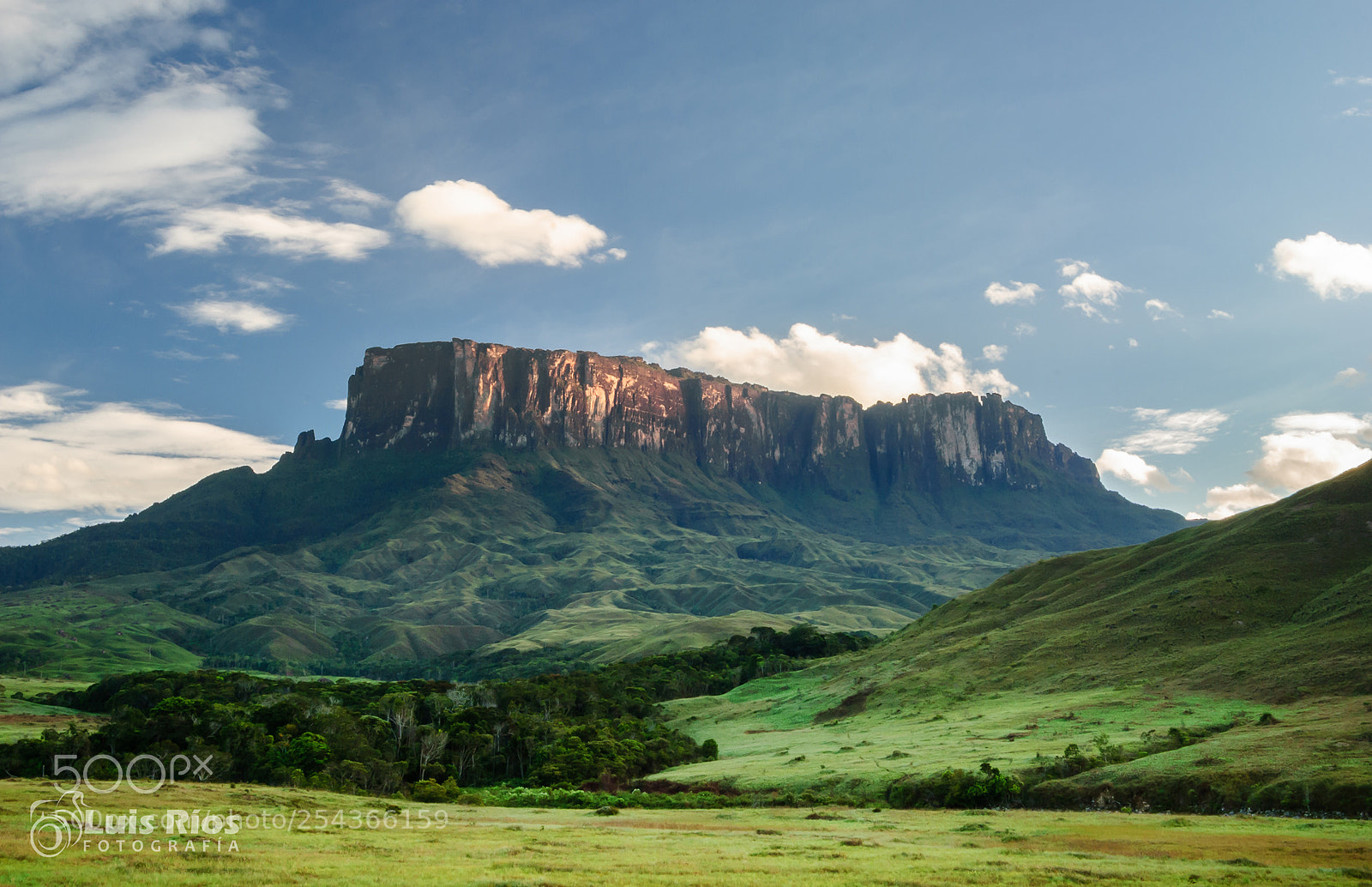 Nikon D60 sample photo. Kukenan tepuy gran sabana photography