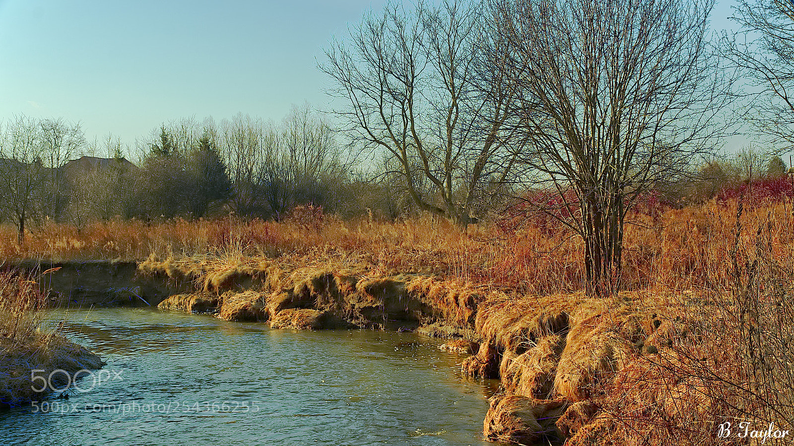 Sony SLT-A57 sample photo. Winter river bank photography