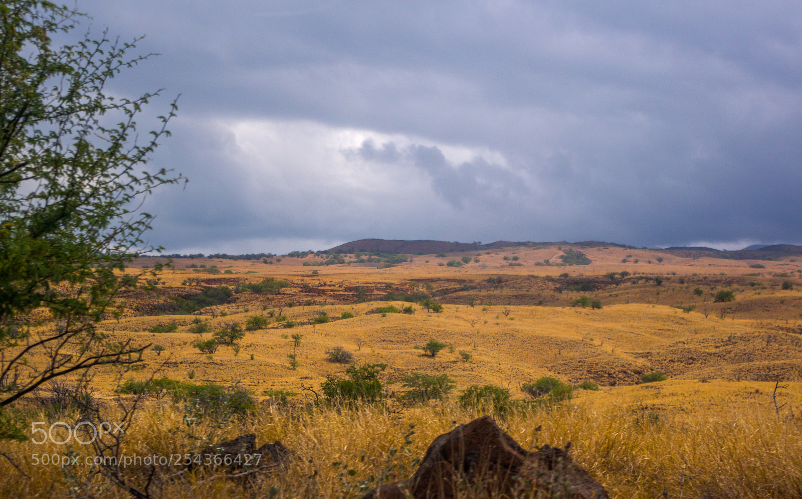Pentax K-3 II sample photo. Rolling hills photography