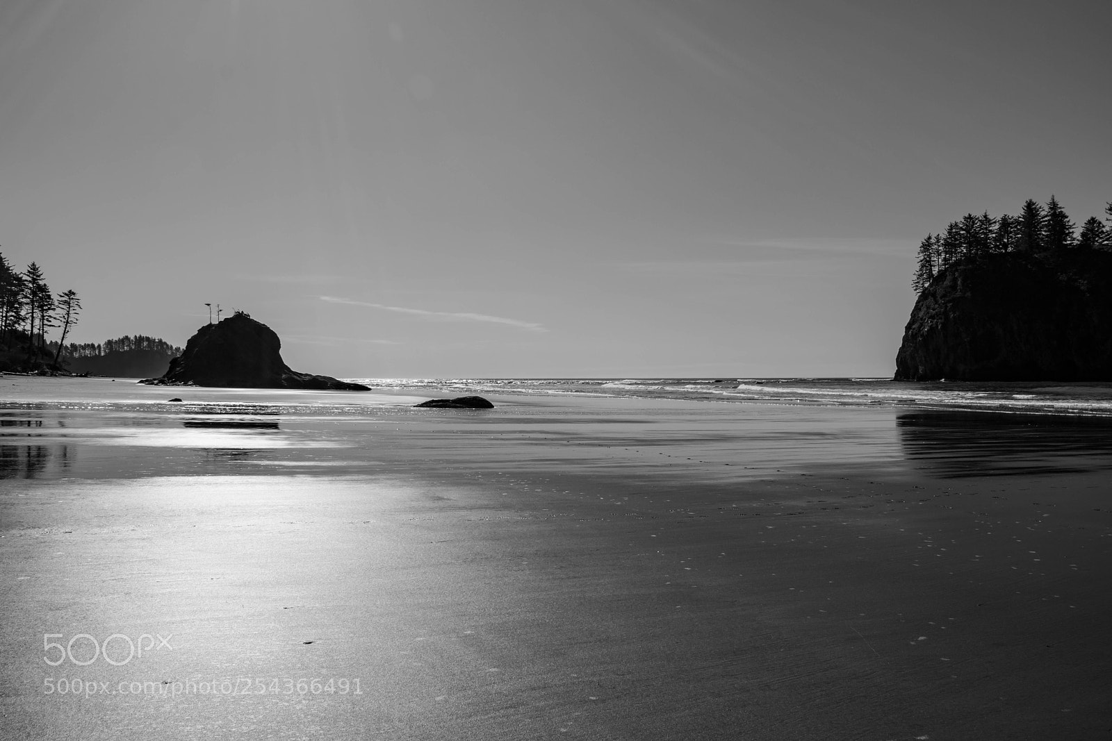 Canon EOS 750D (EOS Rebel T6i / EOS Kiss X8i) sample photo. Lapush photography