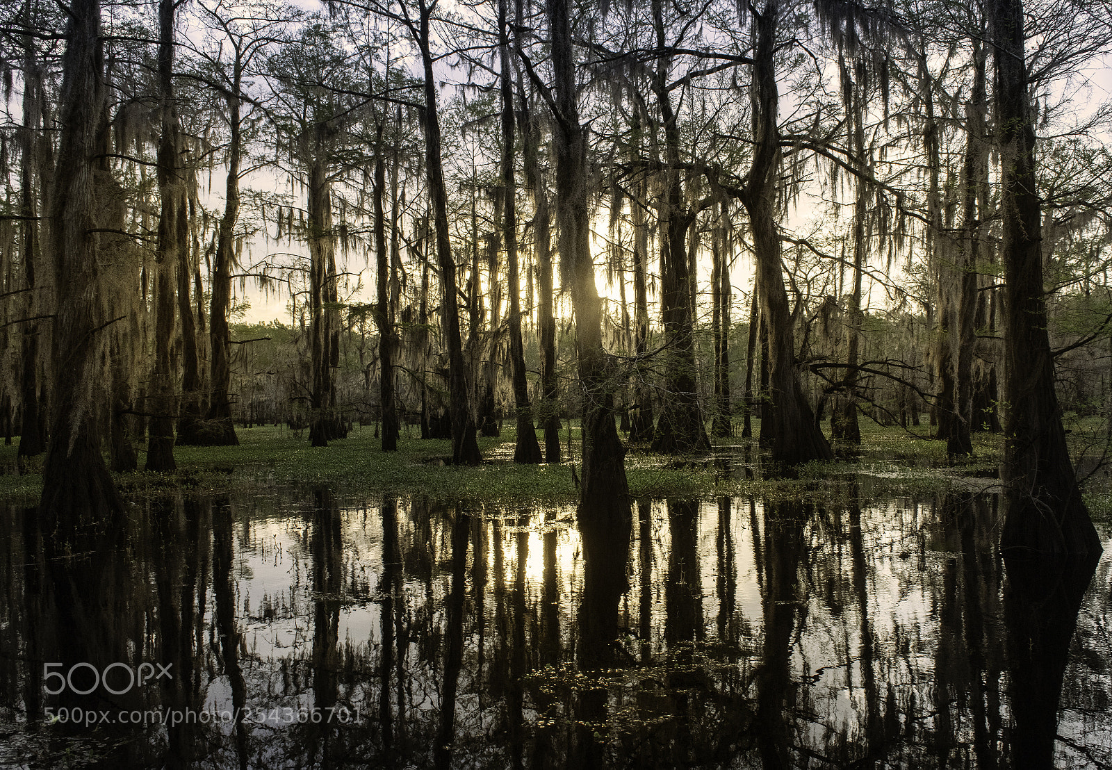 Nikon D850 sample photo. Sunrise photography