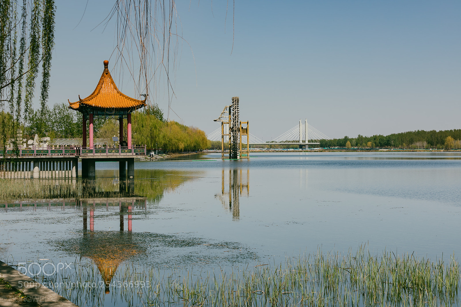 Canon EOS 5D Mark IV sample photo. Park photography