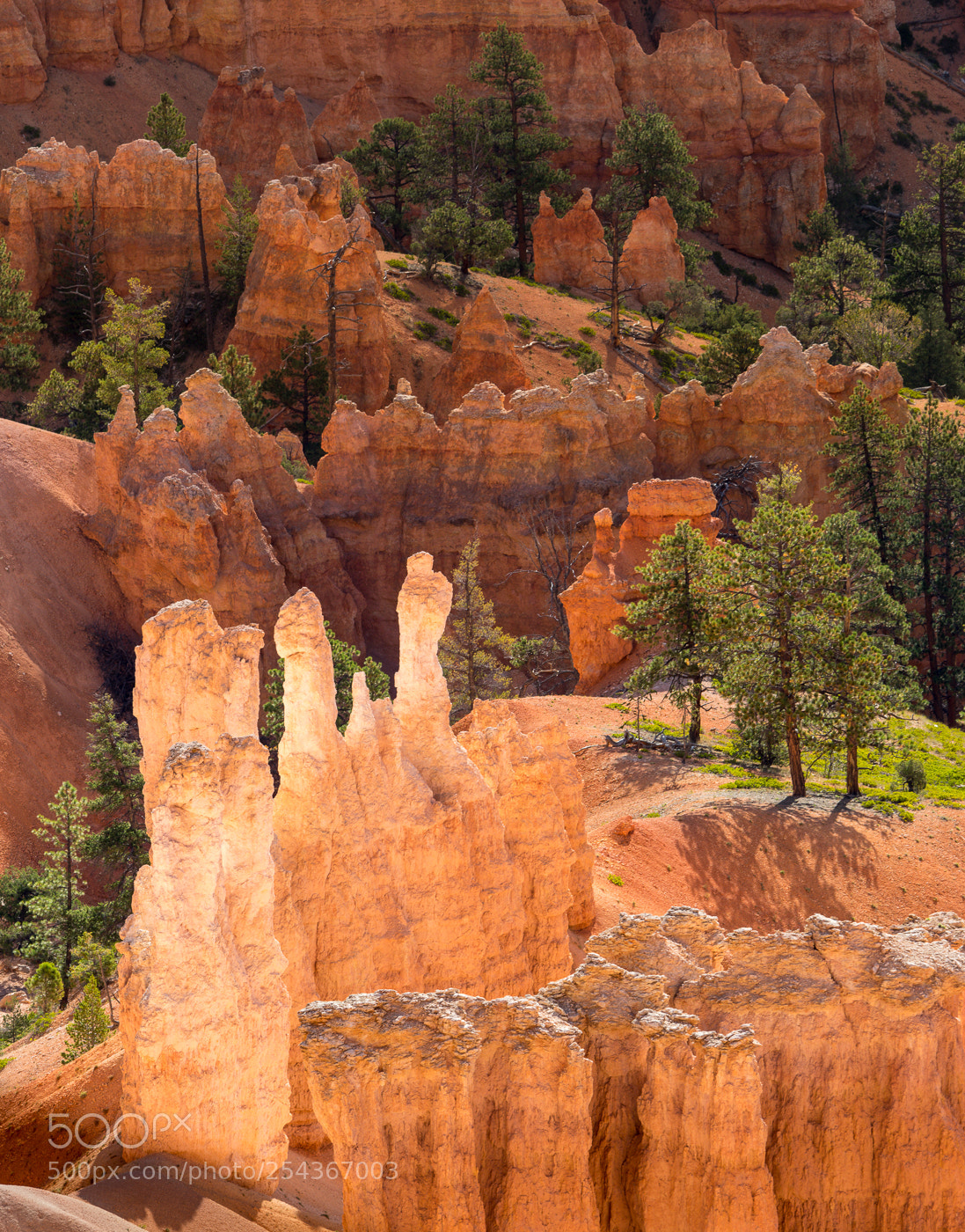 Sony a7 II sample photo. Morning ligth in bryce photography
