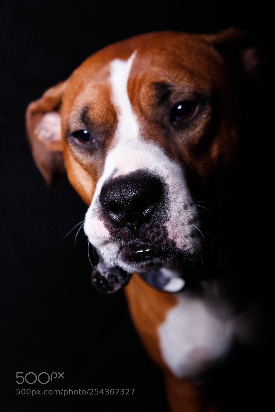 Canon EOS 5D Mark II sample photo. Portrait () photography