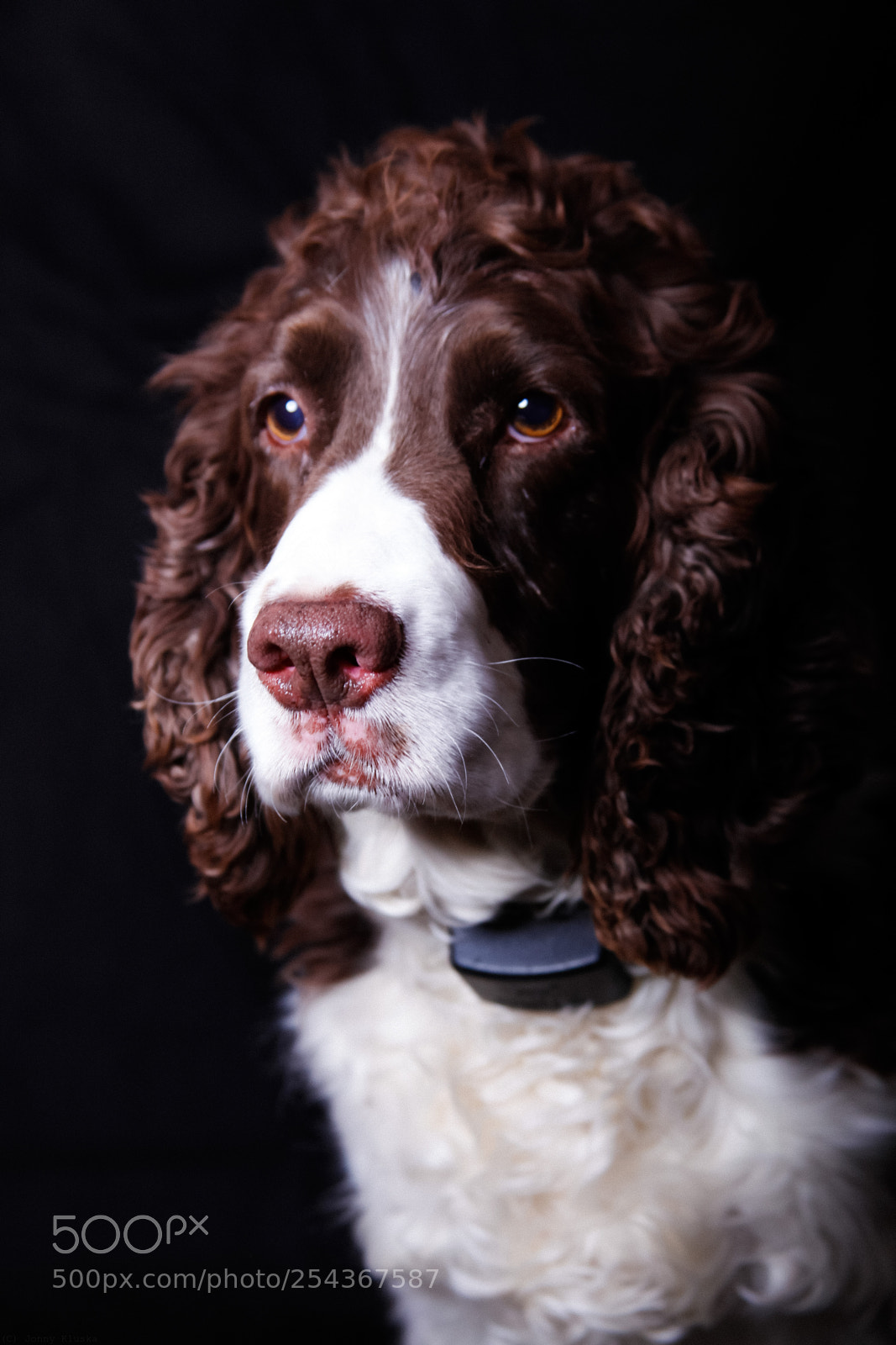 Canon EOS 5D Mark II sample photo. Portrait () photography
