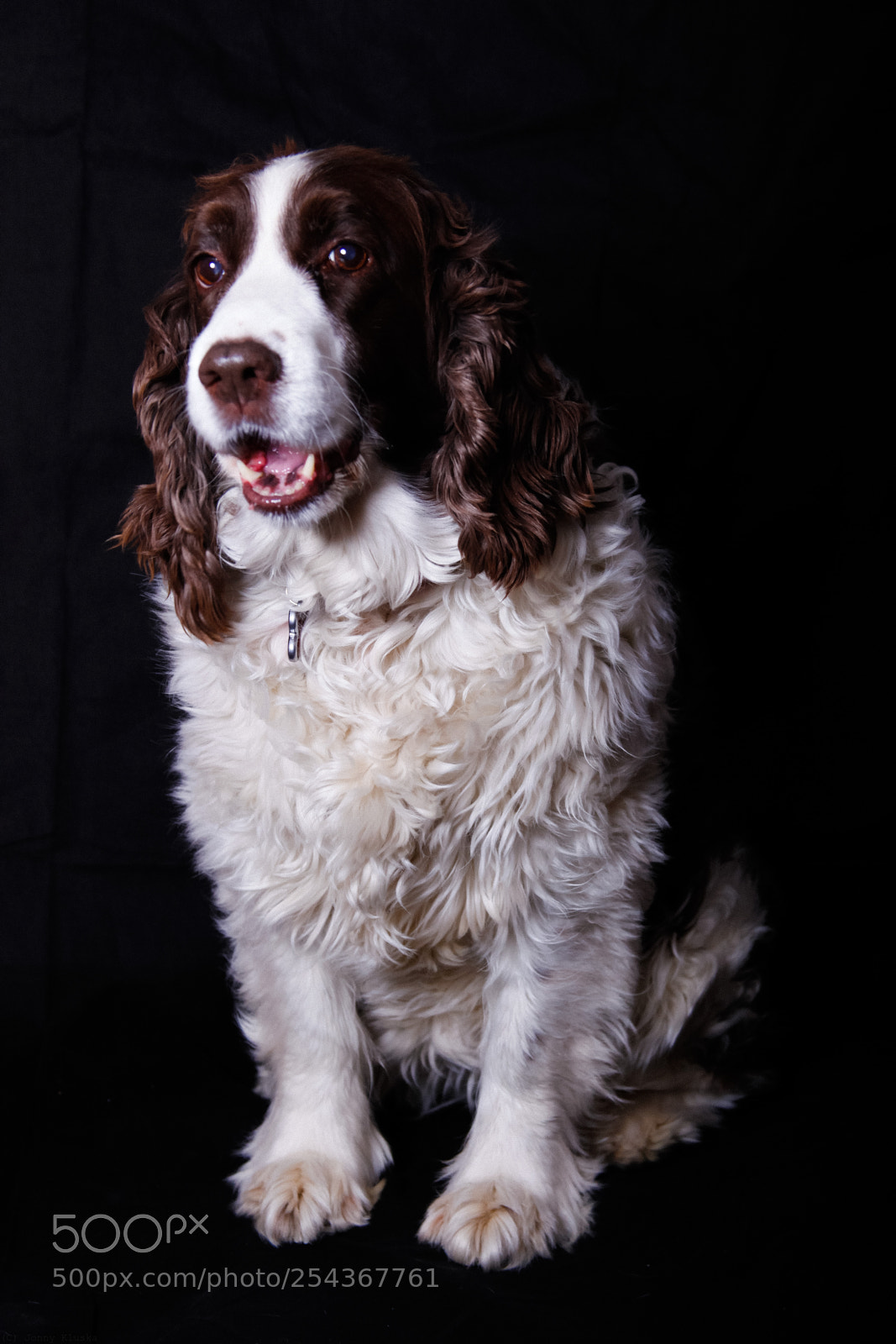 Canon EOS 5D Mark II sample photo. Portrait () photography