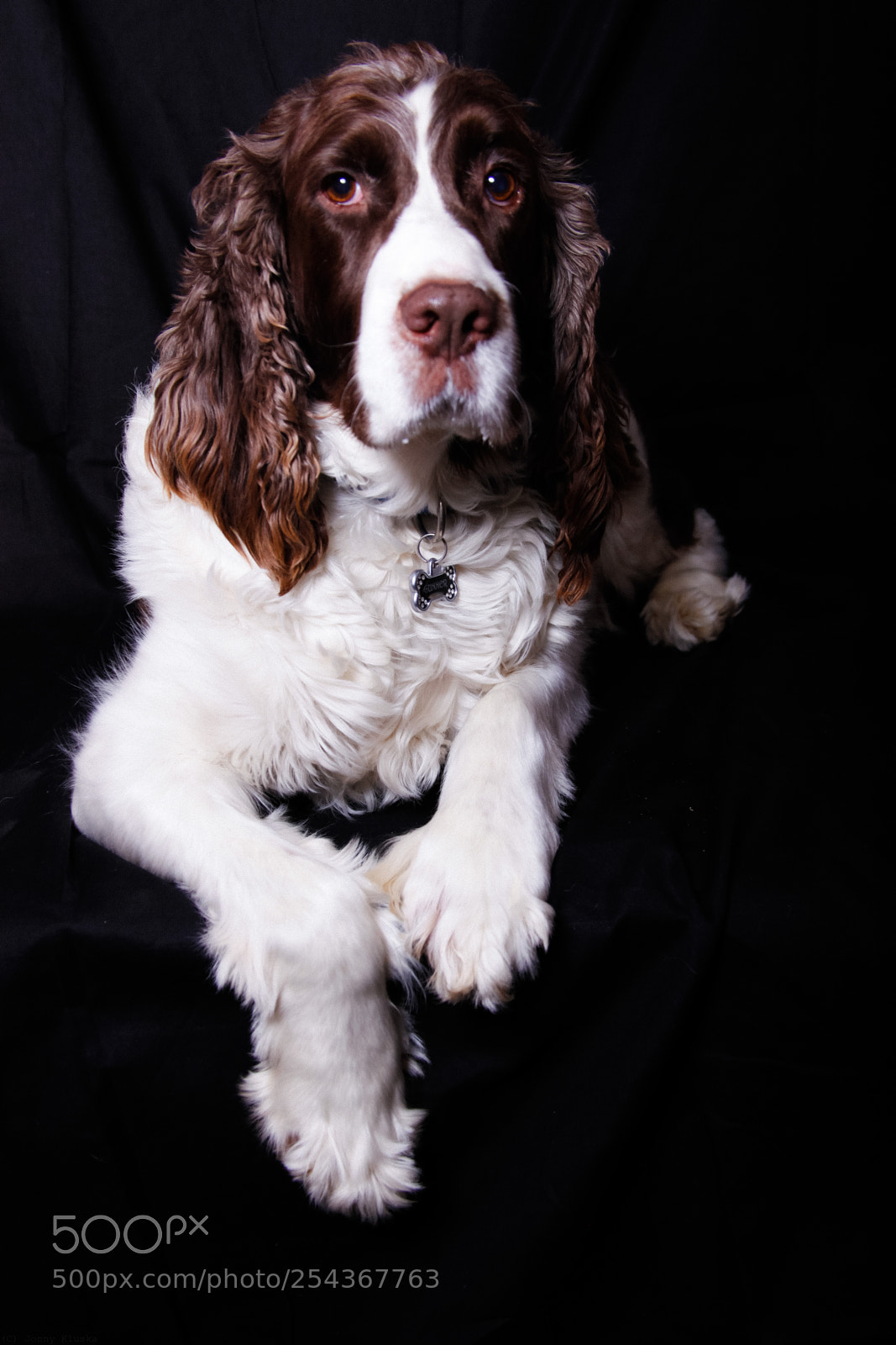 Canon EOS 5D Mark II sample photo. Portrait () photography
