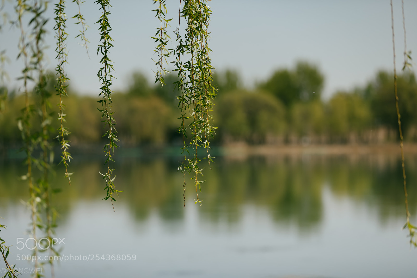 Canon EOS 5D Mark IV sample photo. Untitled photography