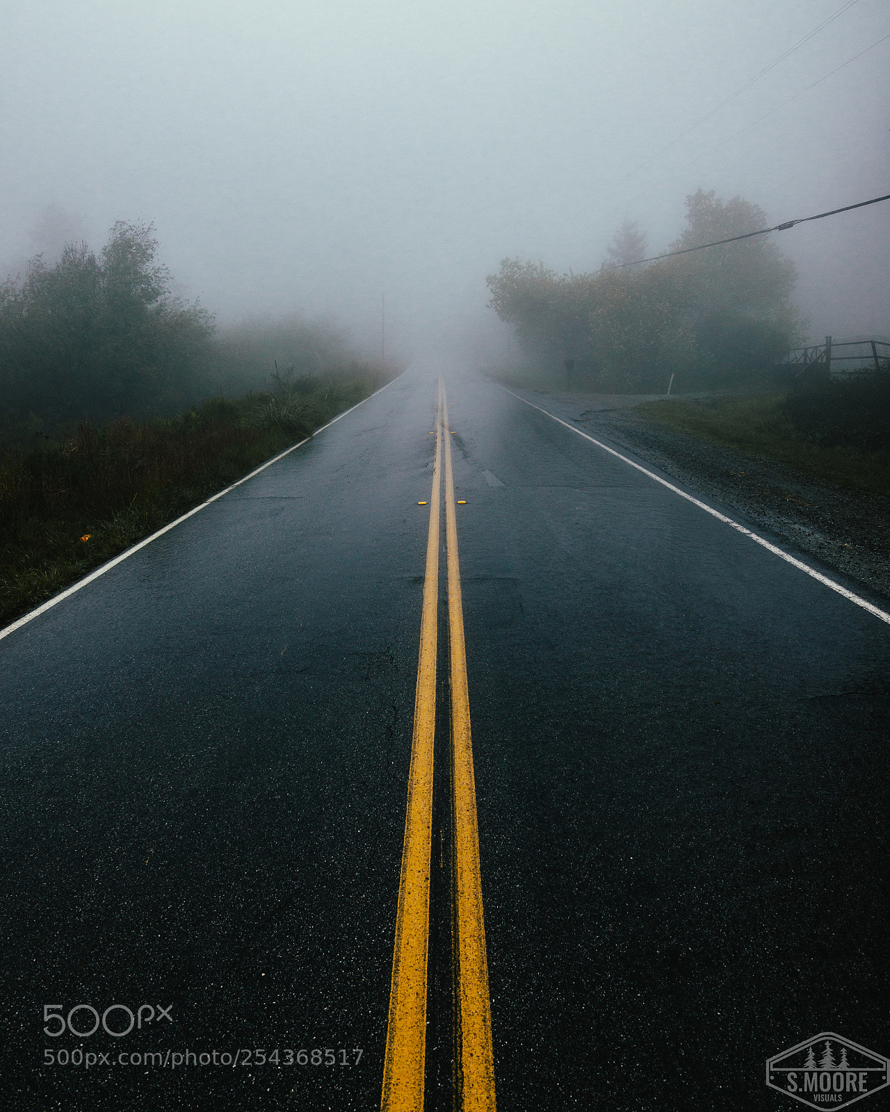Nikon D7200 sample photo. Into the haze photography